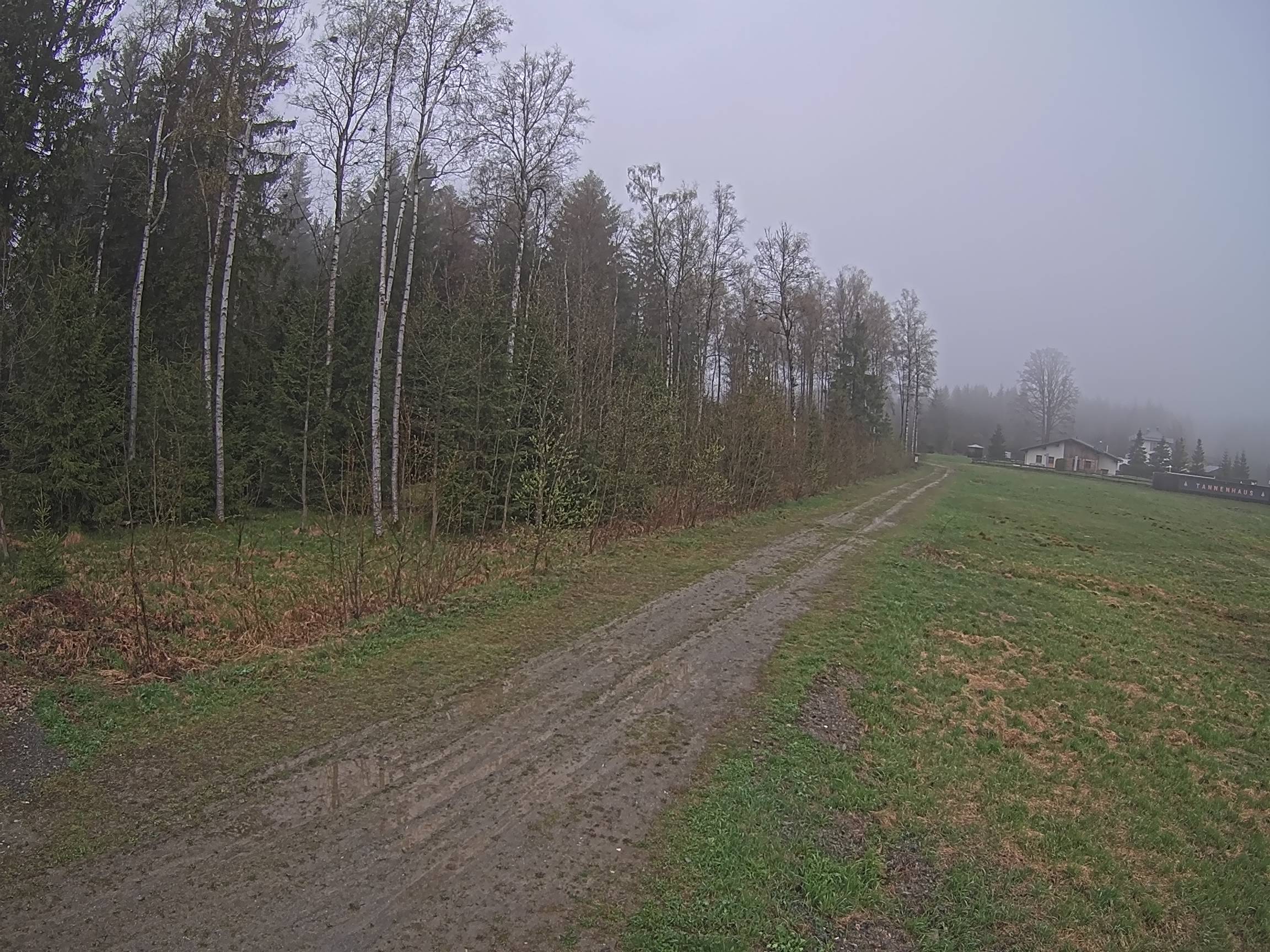 Webcam Schöneck Bogen