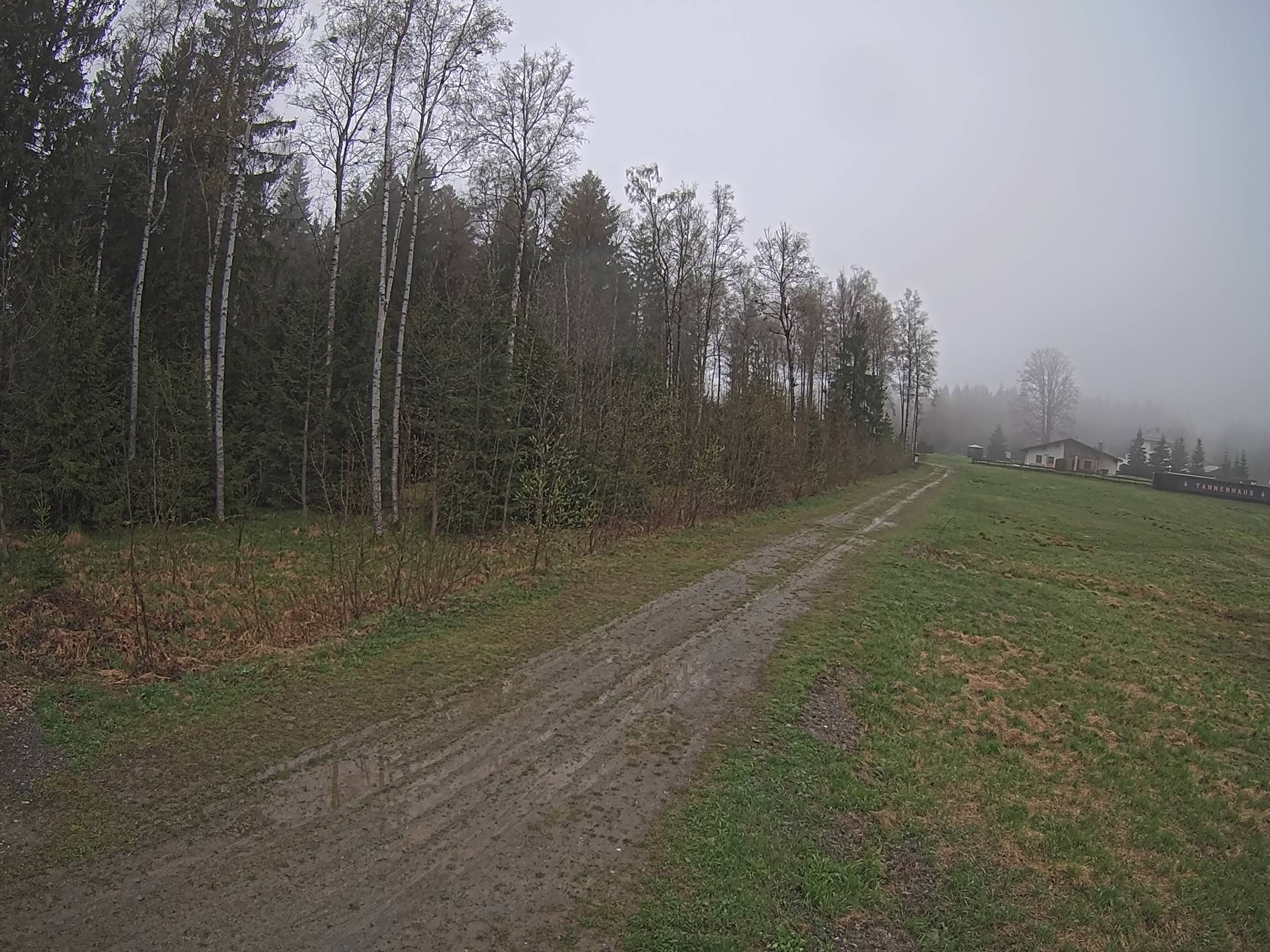 Webcam Schöneck Bogen