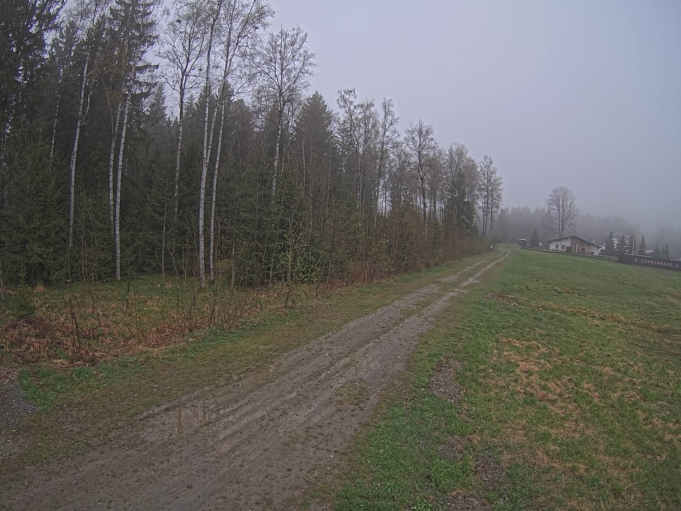 Webcam Schöneck Bogen