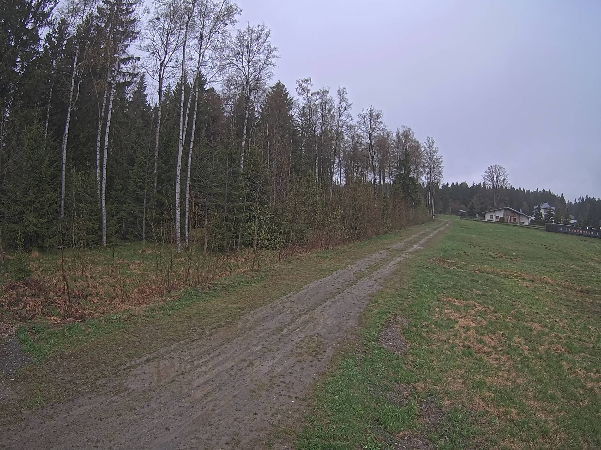 Webcam Schöneck Bogen