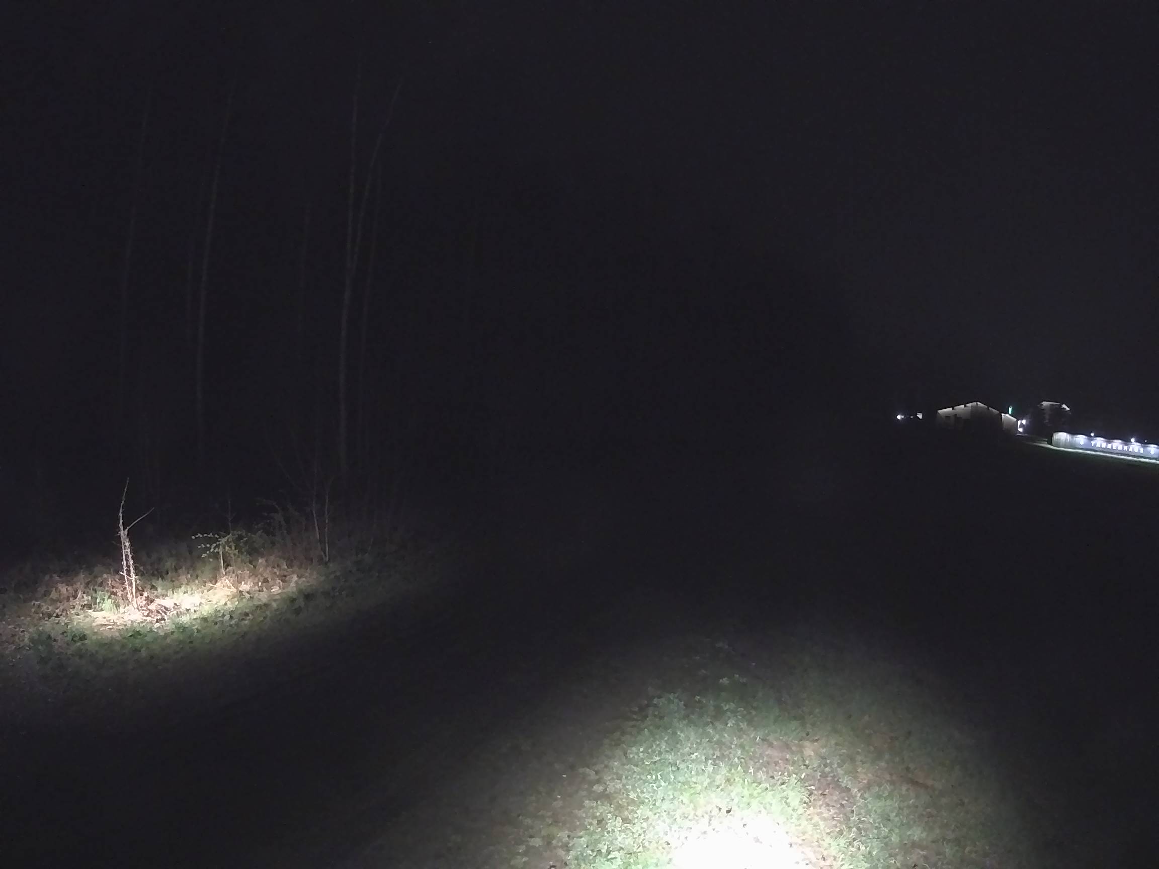 Webcam Schöneck Bogen