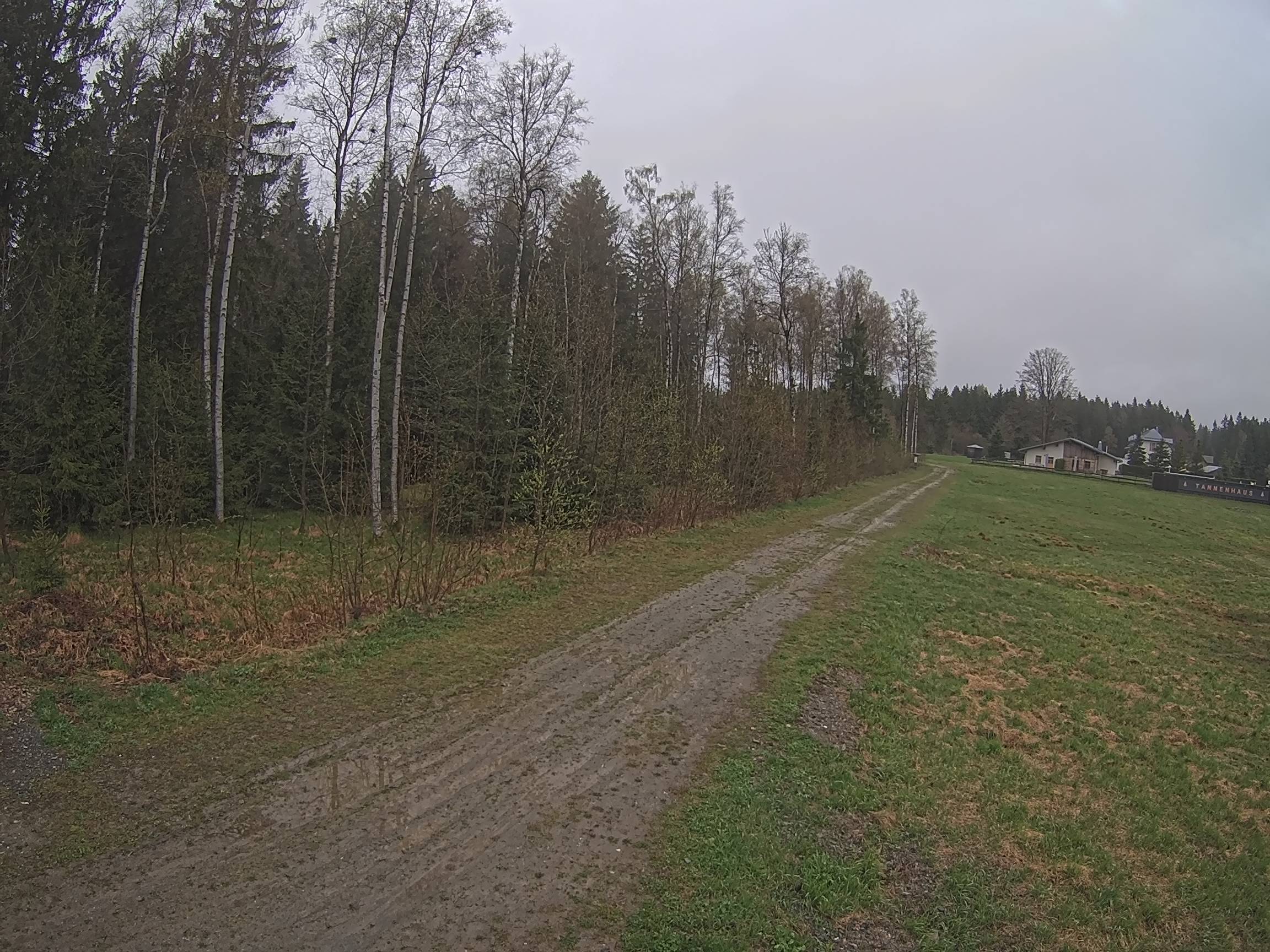 Webcam Schöneck Bogen