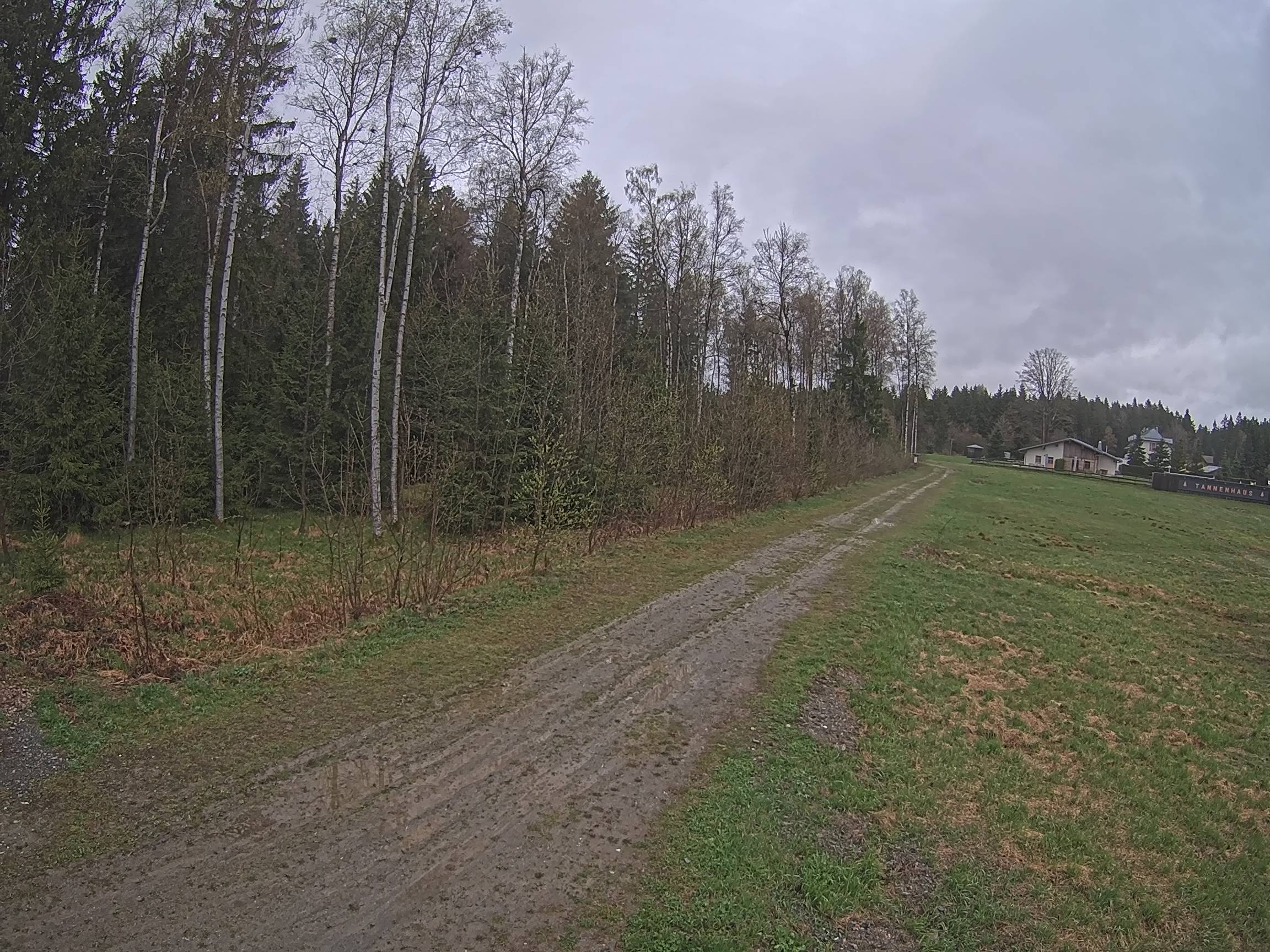 Webcam Schöneck Bogen