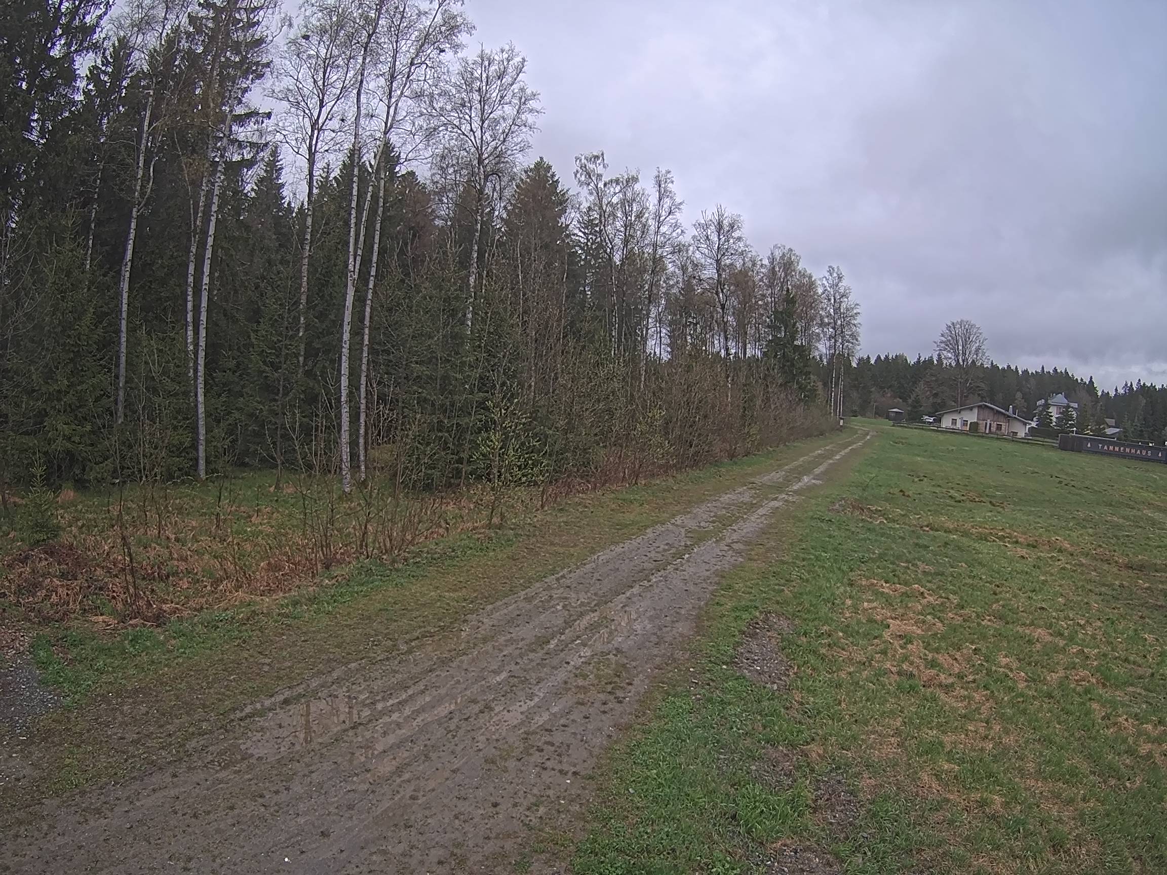 Webcam Schöneck Bogen