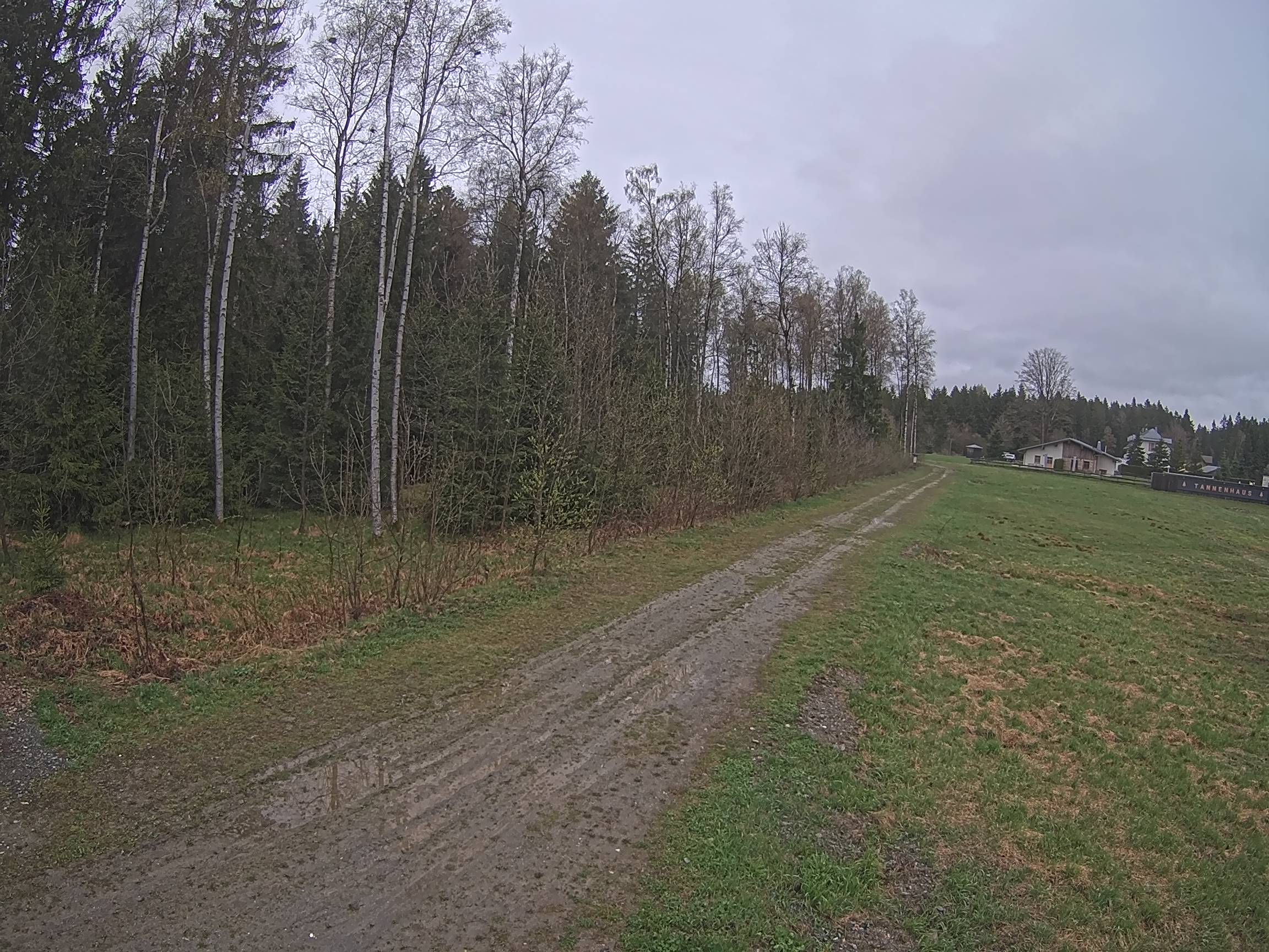 Webcam Schöneck Bogen