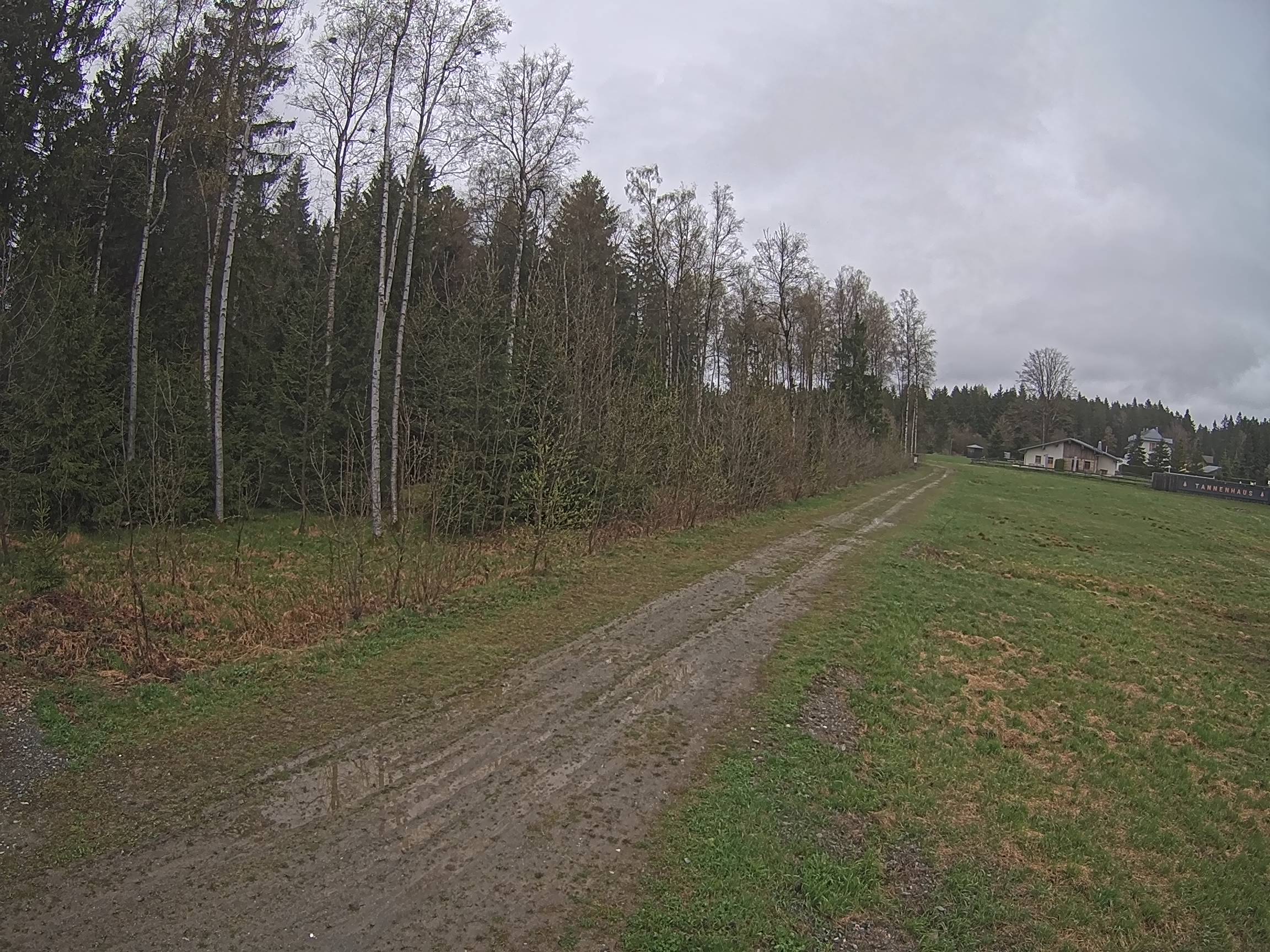 Webcam Schöneck Bogen