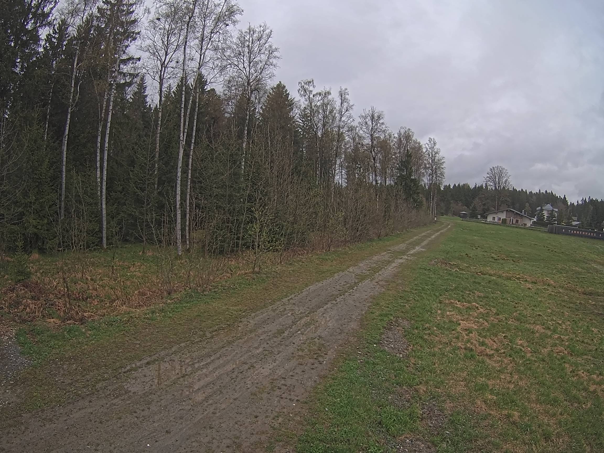 Webcam Schöneck Bogen