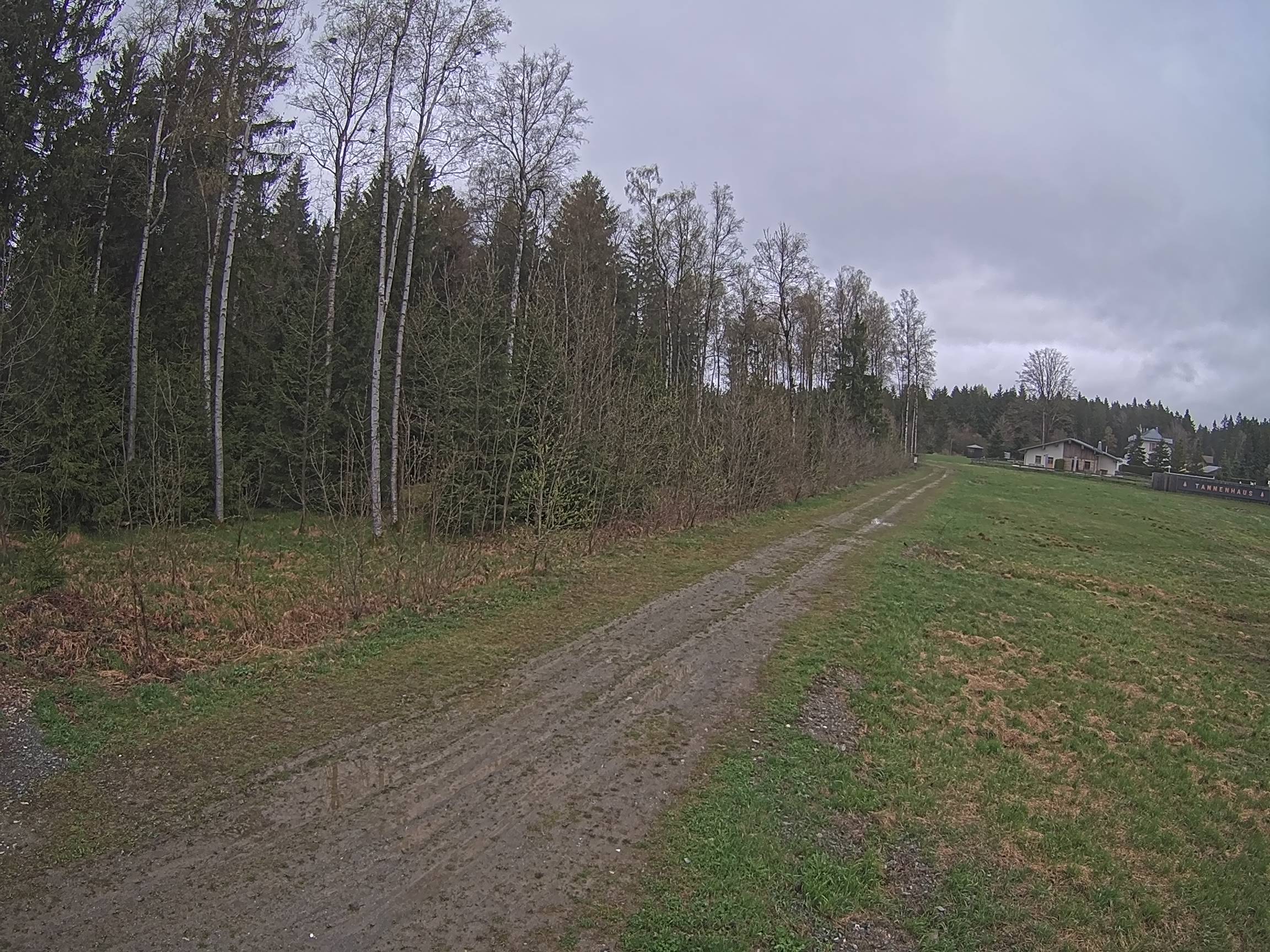 Webcam Schöneck Bogen