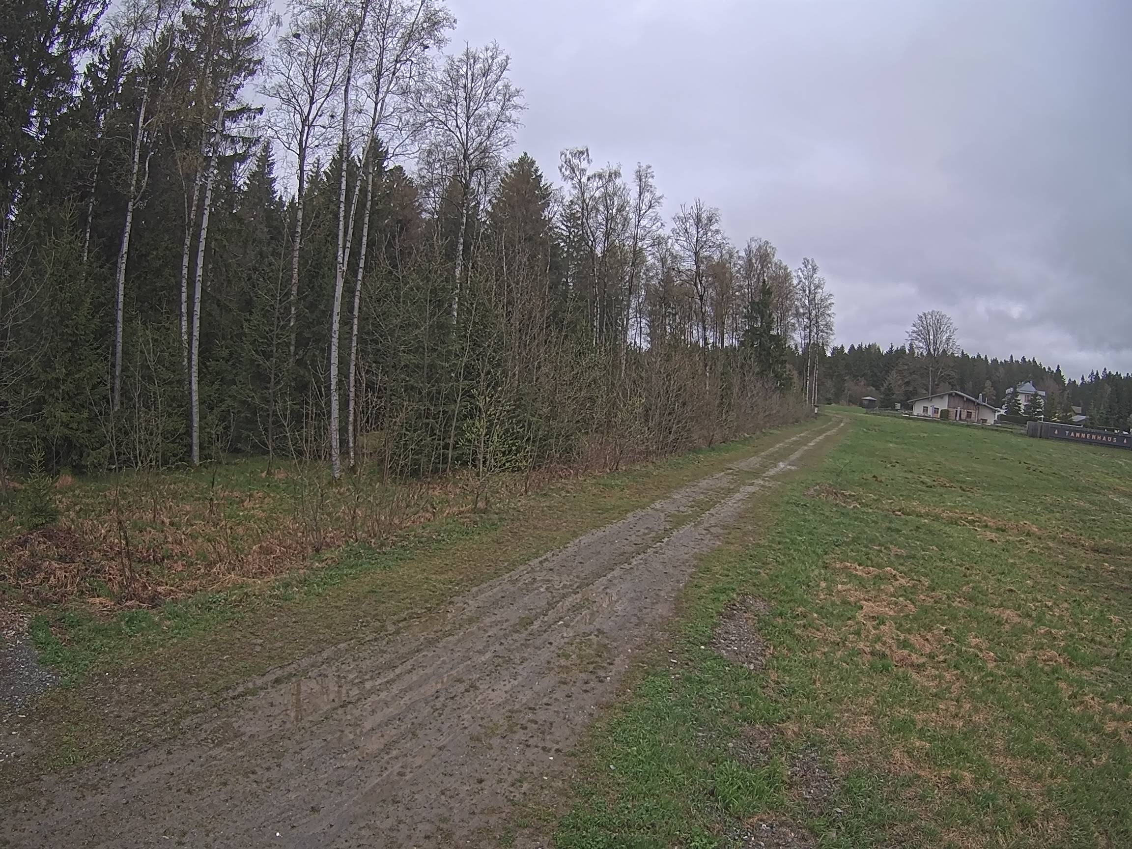 Webcam Schöneck Bogen