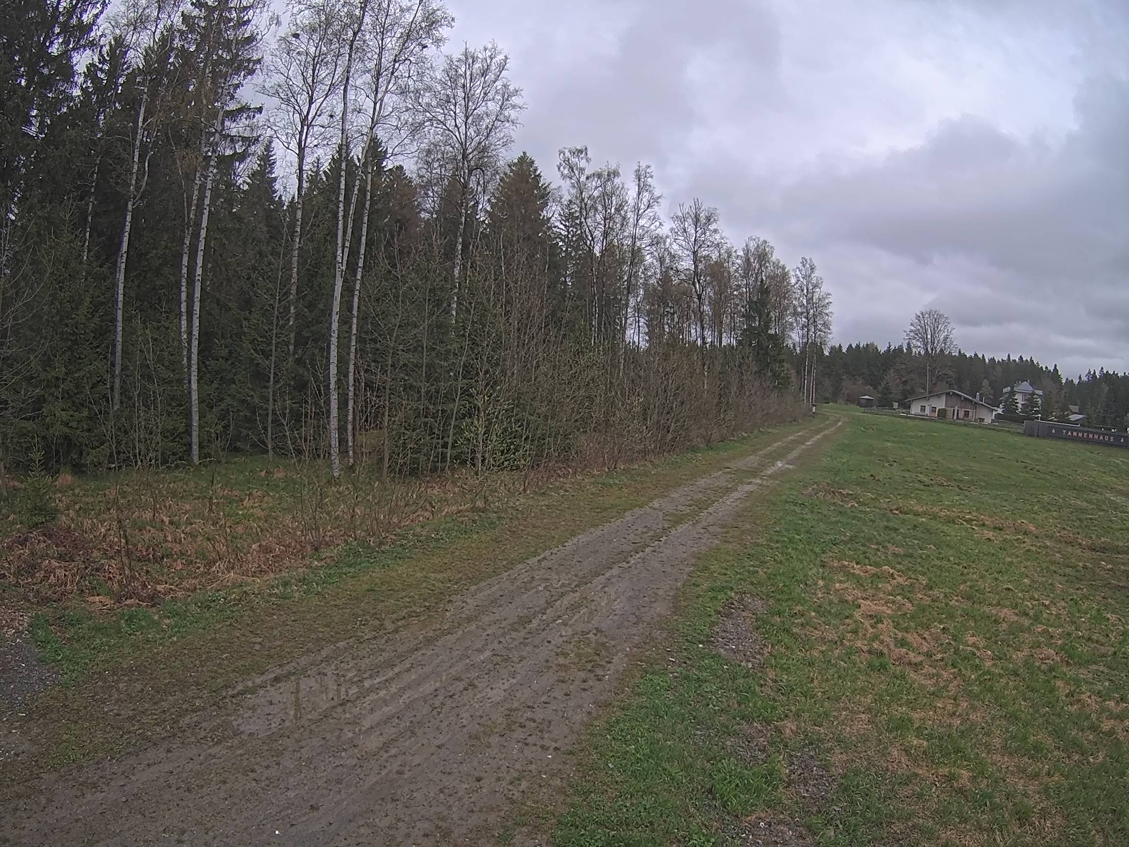 Webcam Schöneck Bogen