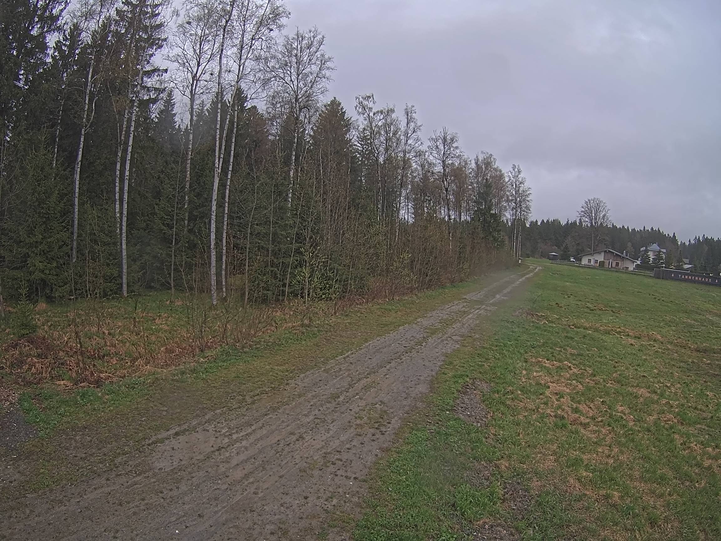 Webcam Schöneck Bogen