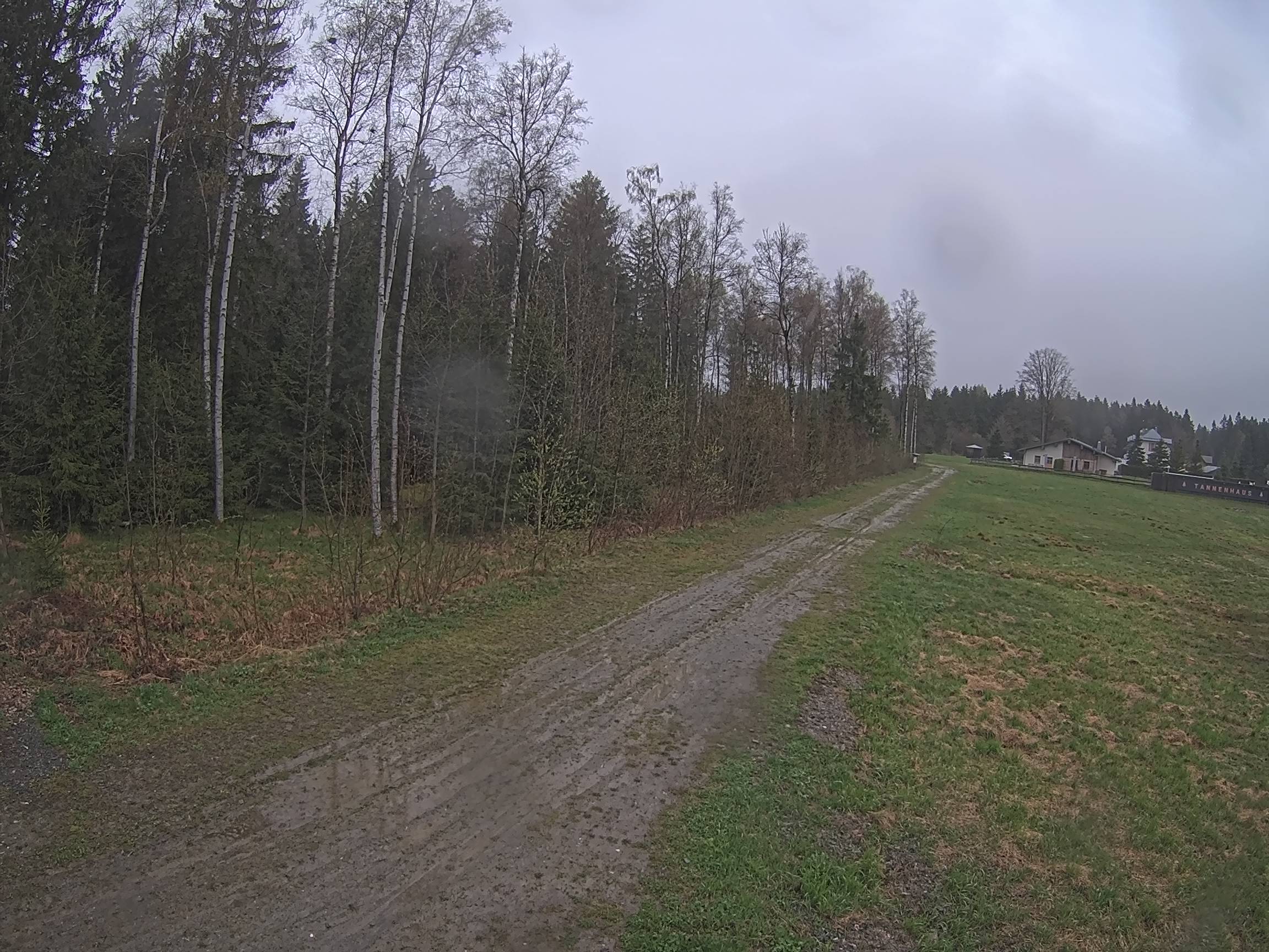 Webcam Schöneck Bogen