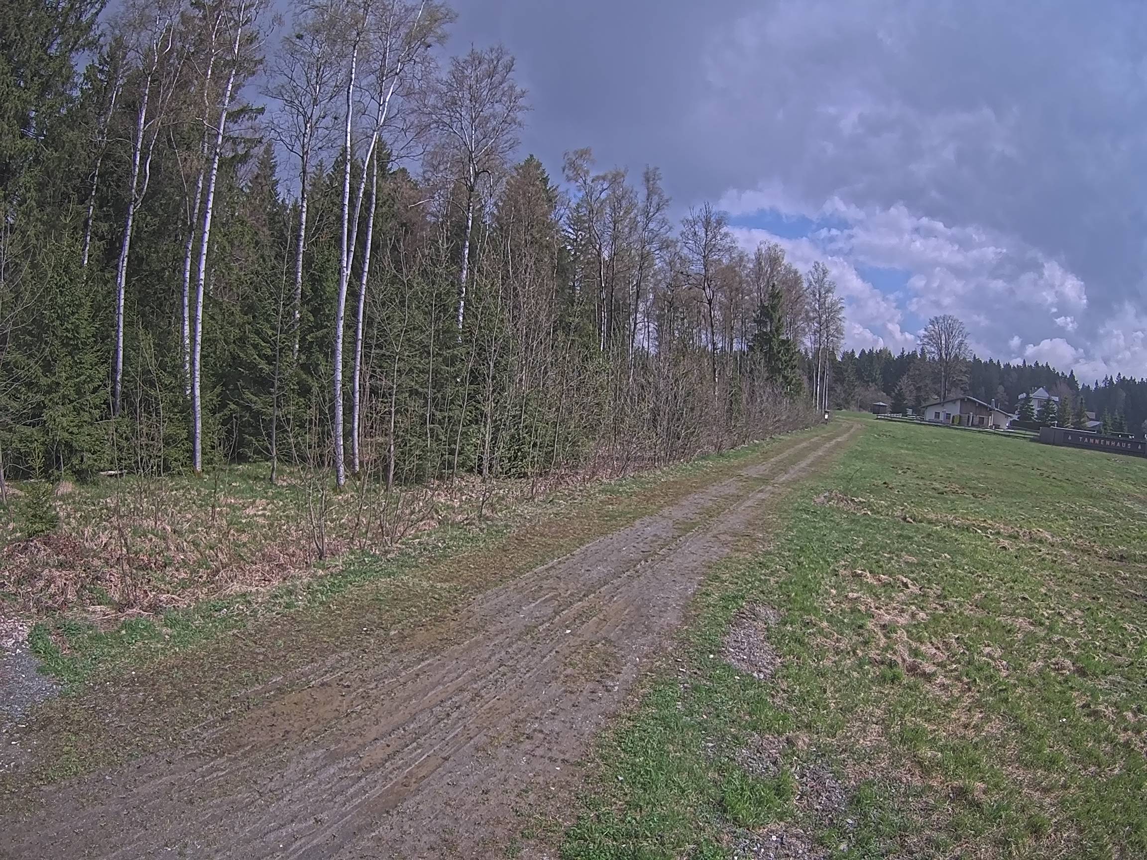 Webcam Schöneck Bogen