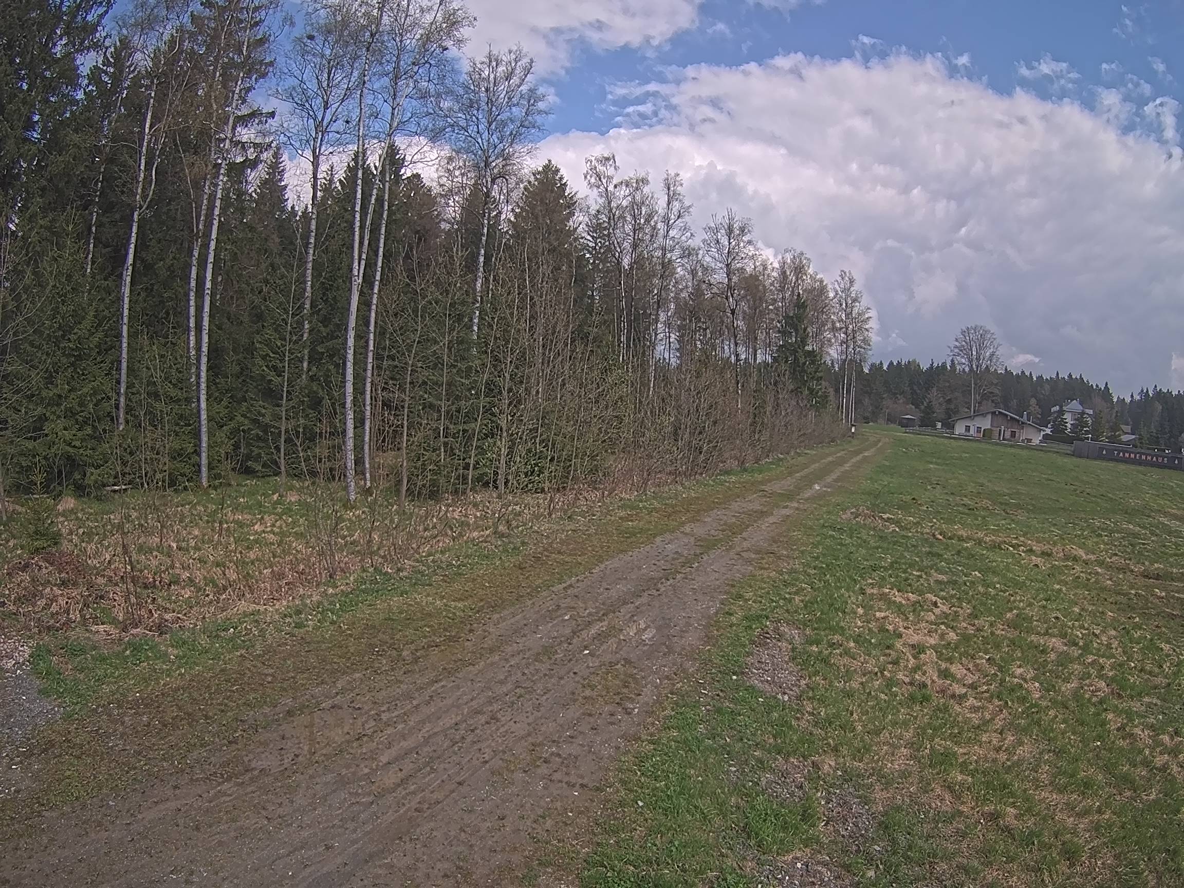 Webcam Schöneck Bogen