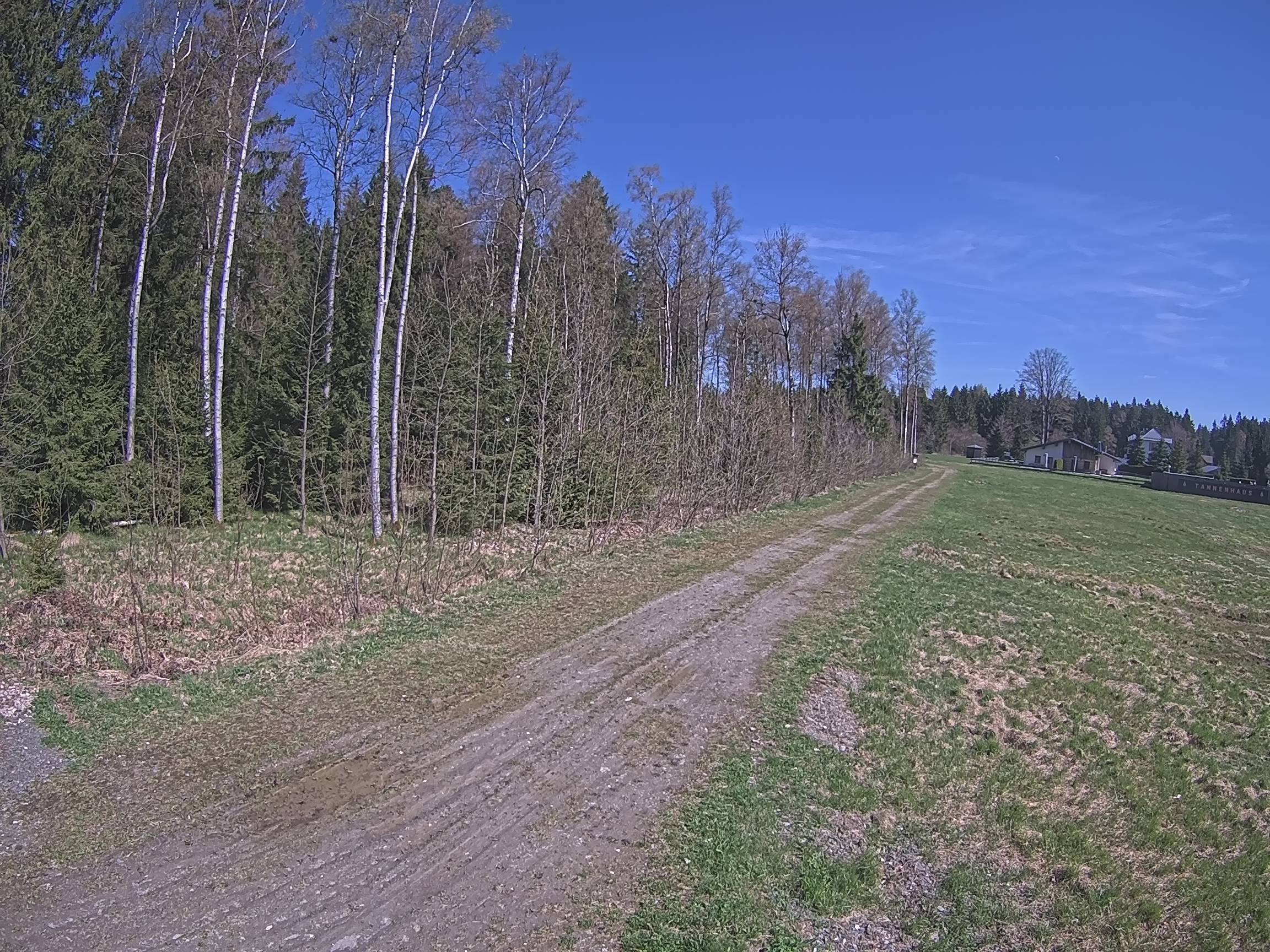 Webcam Schöneck Bogen