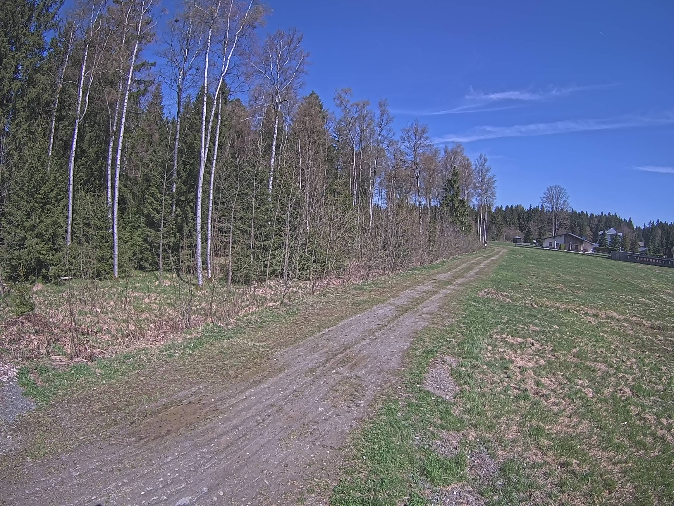 Webcam Schöneck Bogen