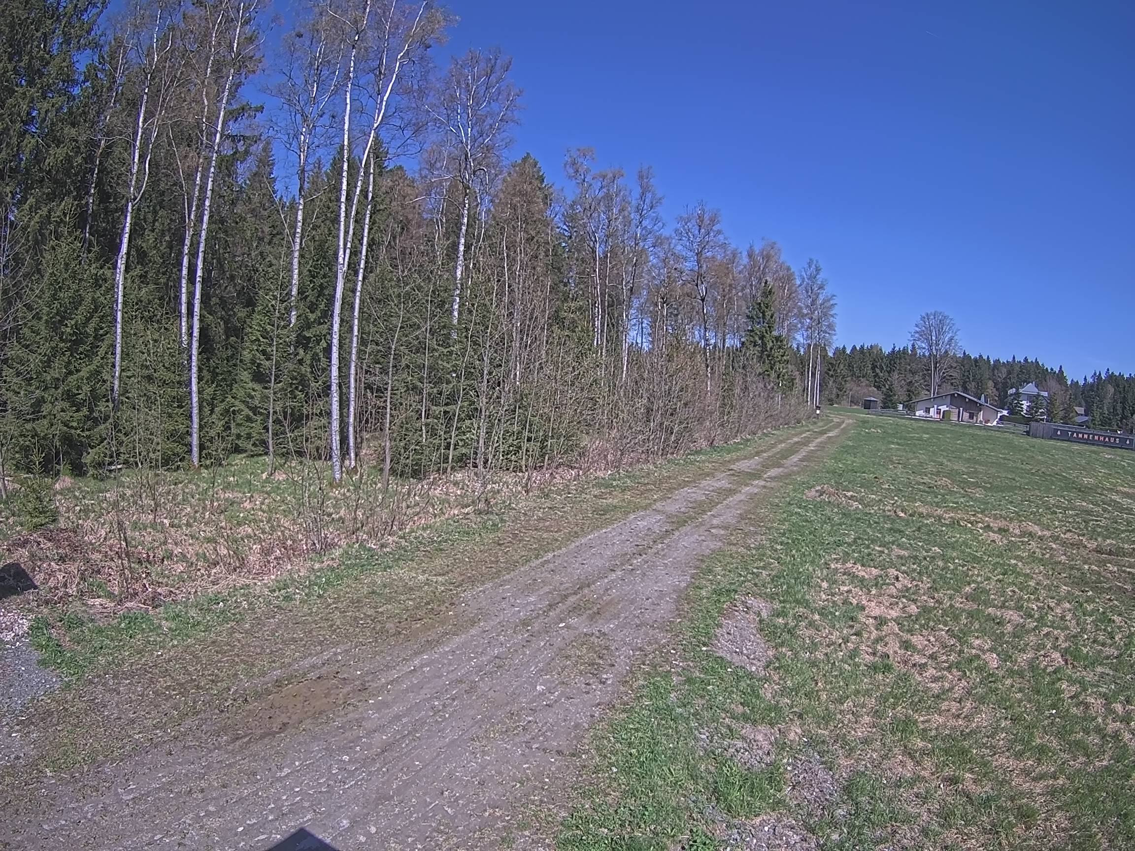 Webcam Schöneck Bogen