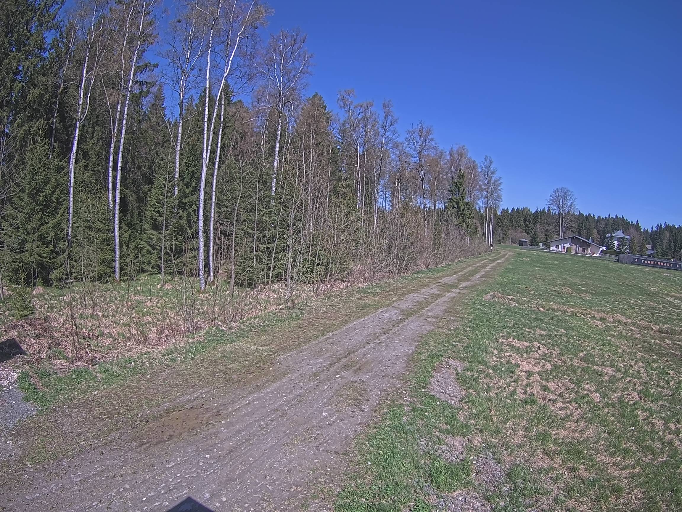 Webcam Schöneck Bogen