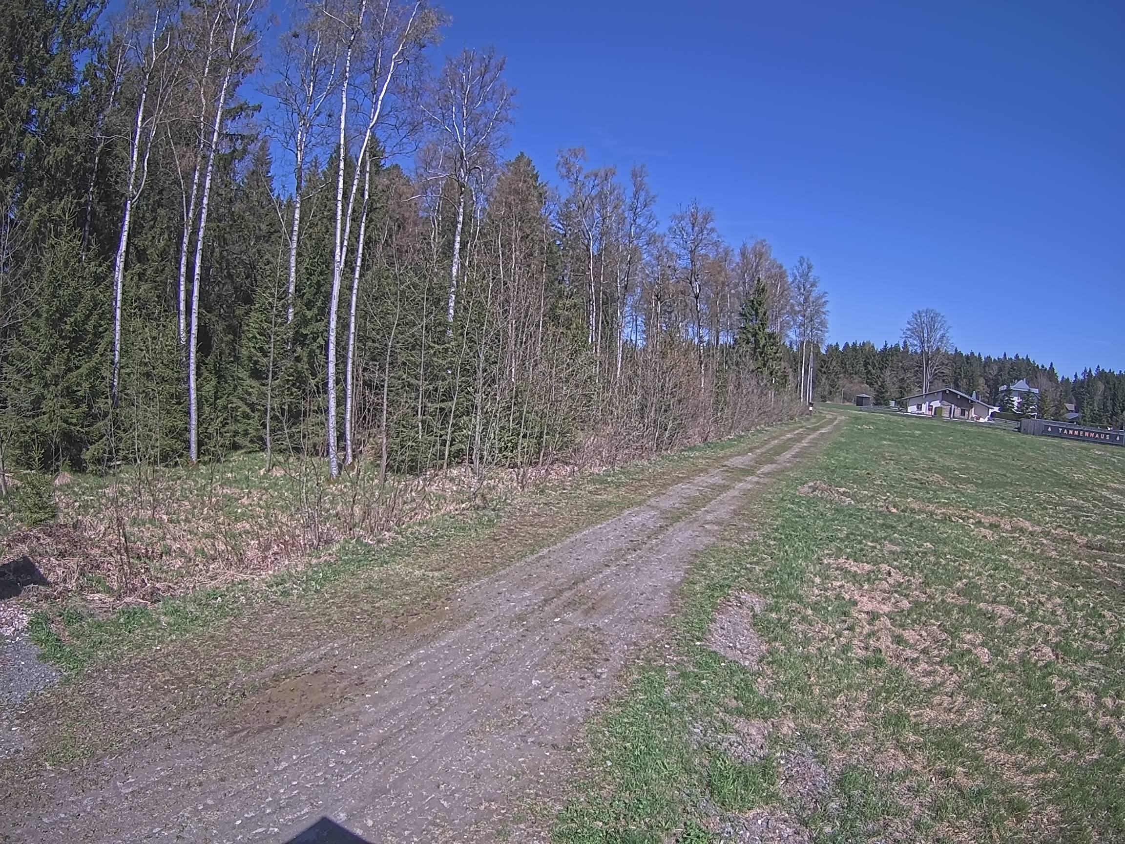 Webcam Schöneck Bogen