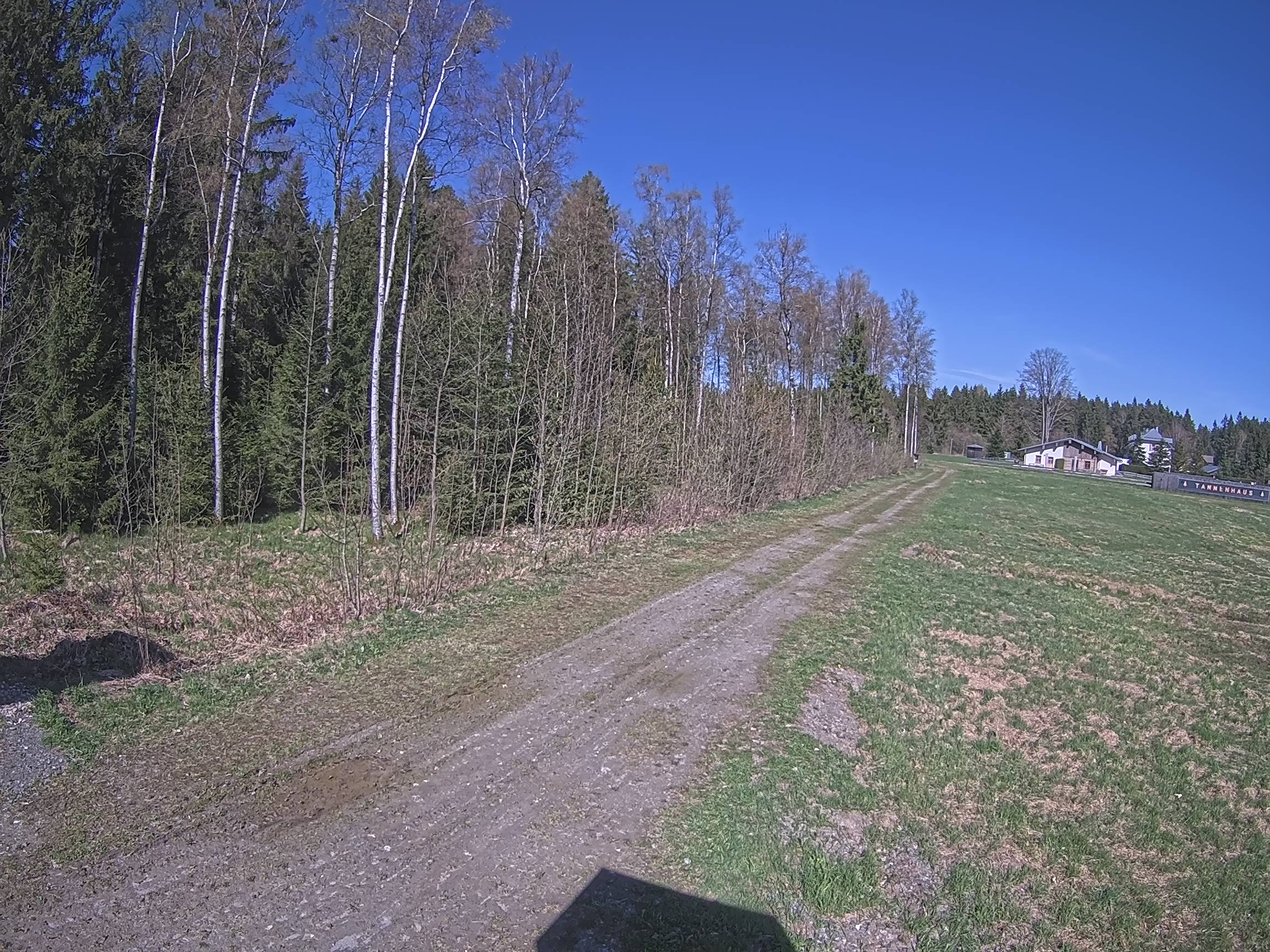 Webcam Schöneck Bogen