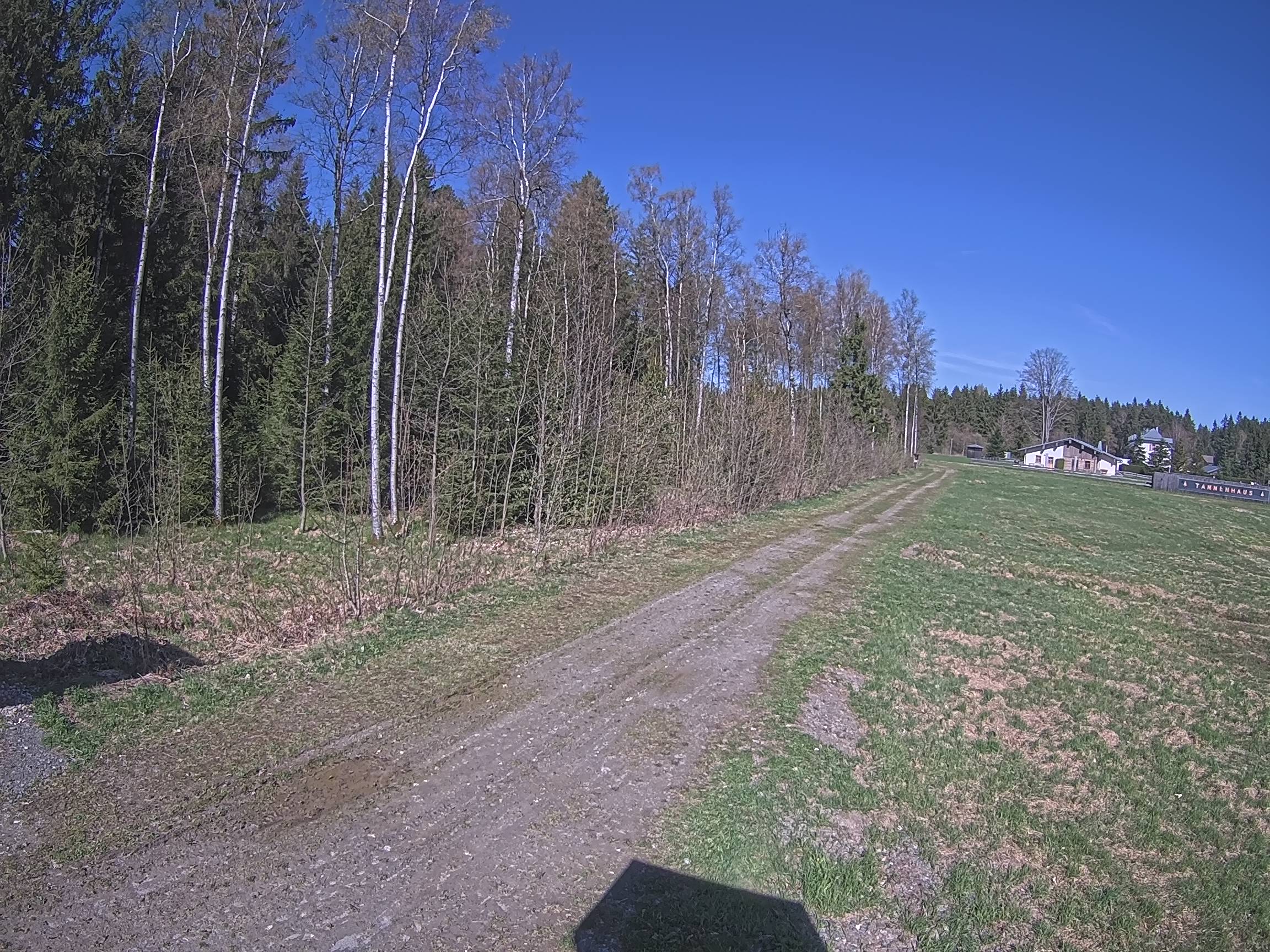 Webcam Schöneck Bogen