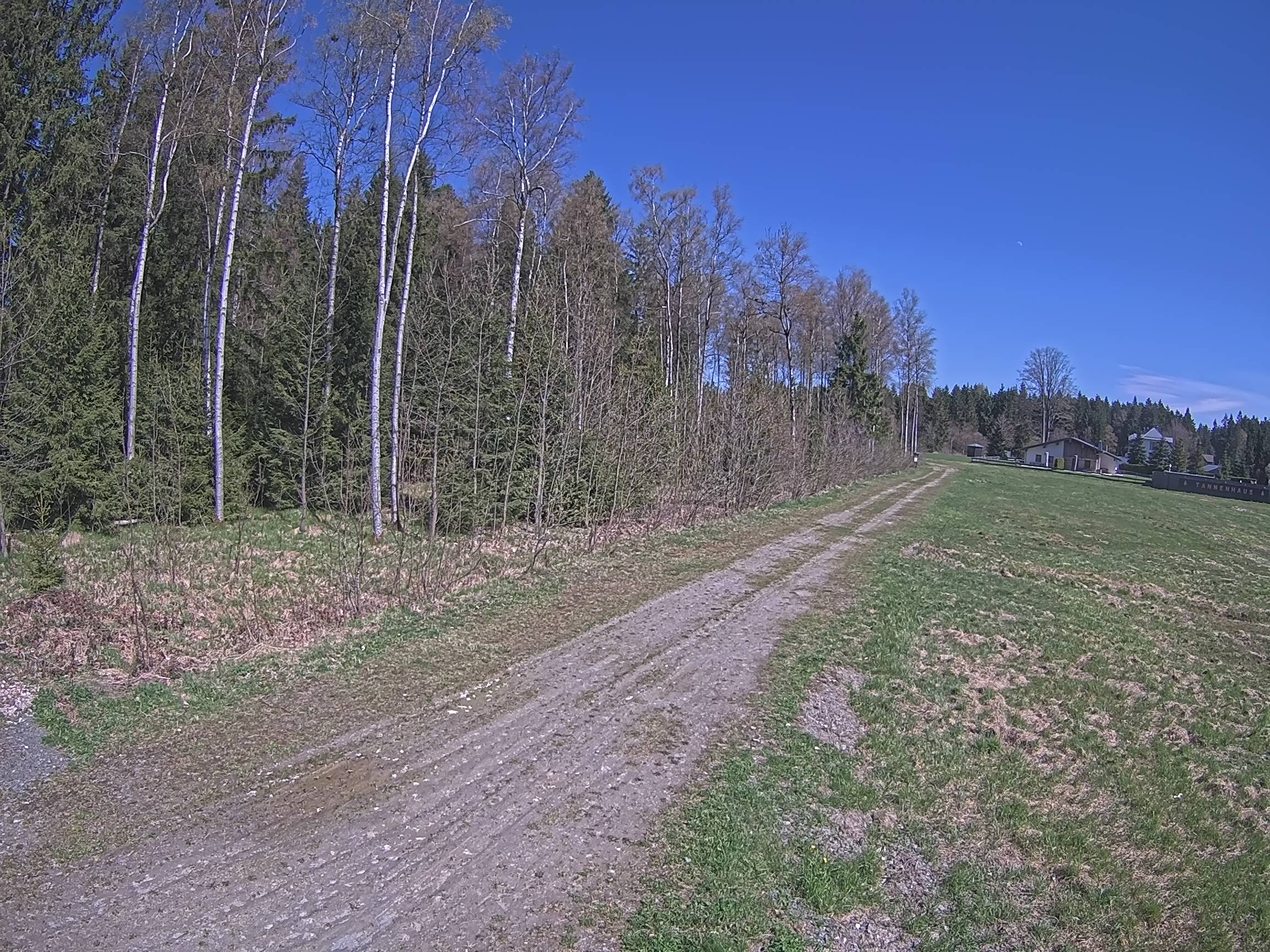 Webcam Schöneck Bogen