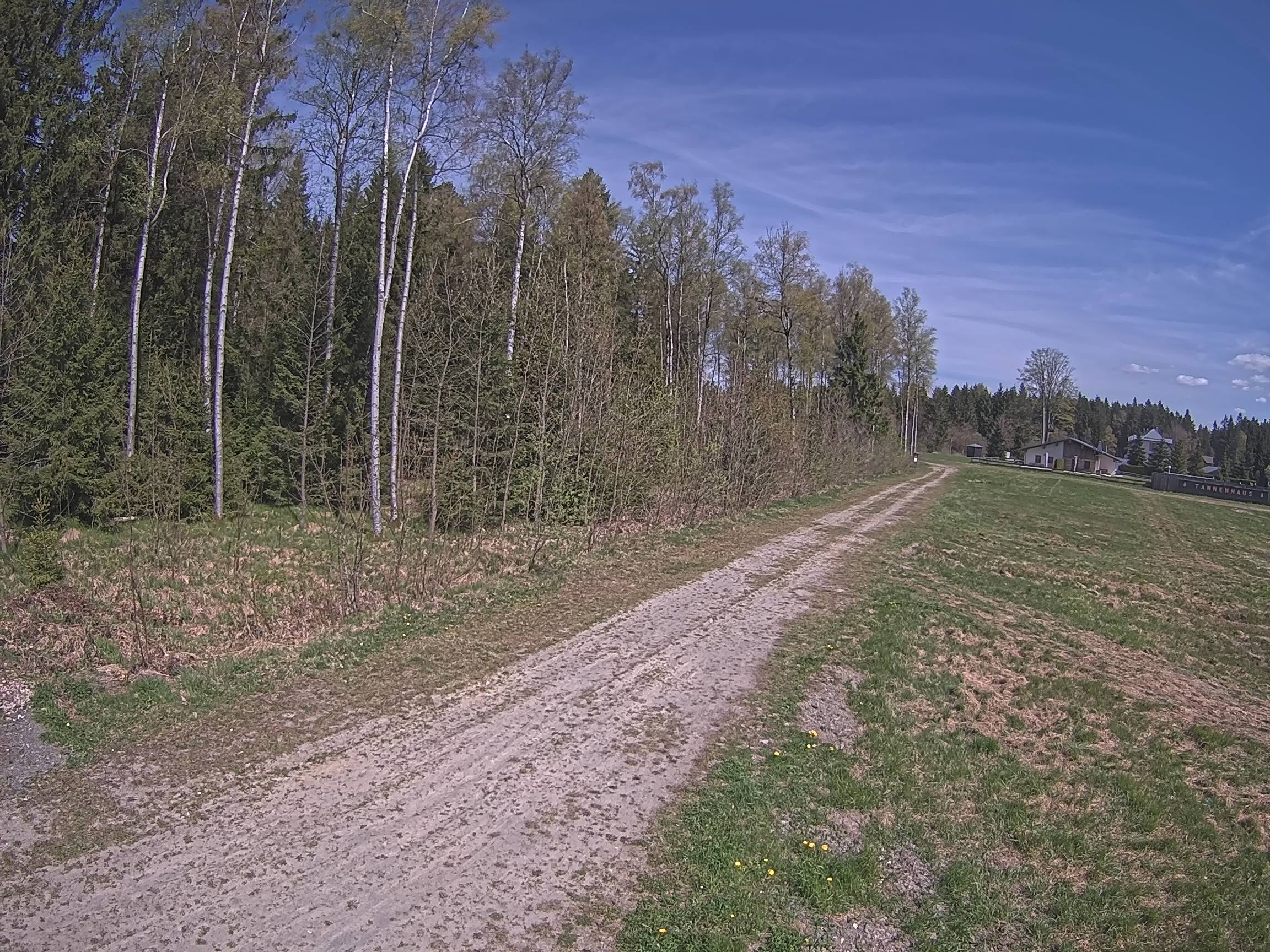 Webcam Schöneck Bogen