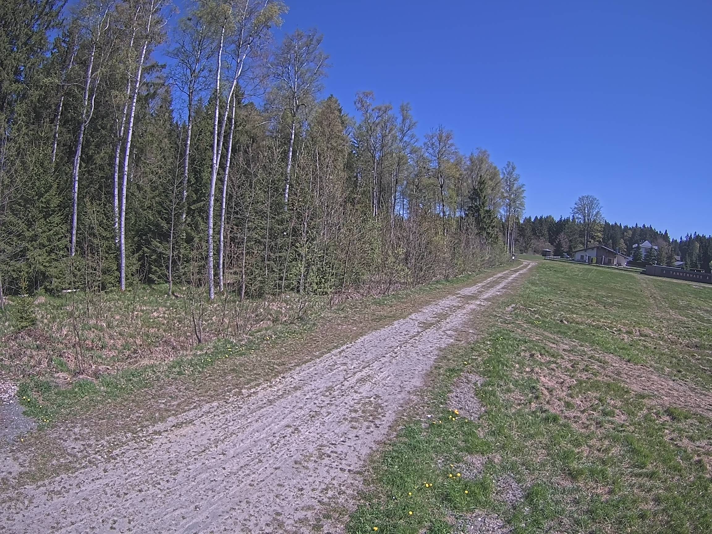 Webcam Schöneck Bogen