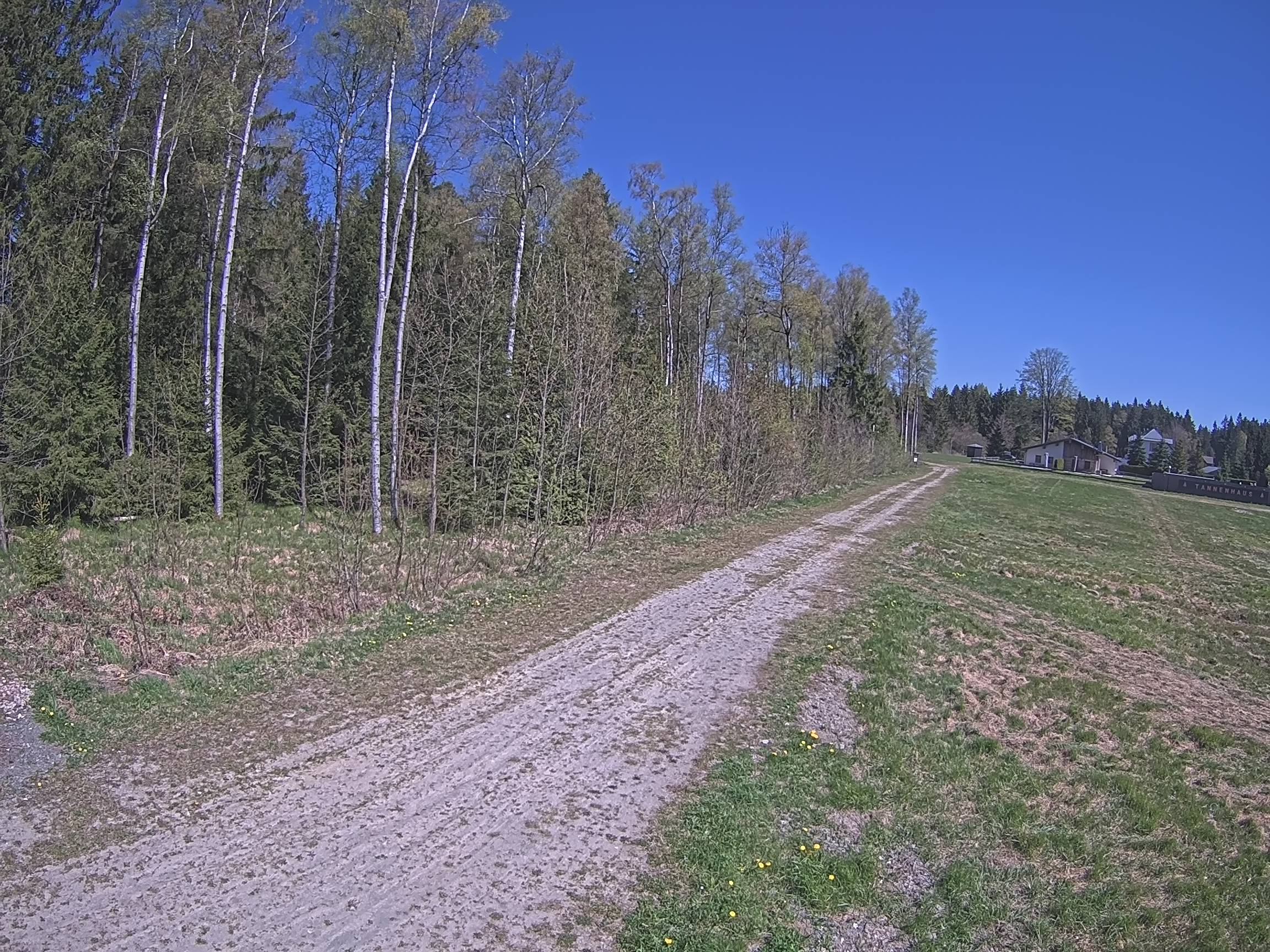 Webcam Schöneck Bogen