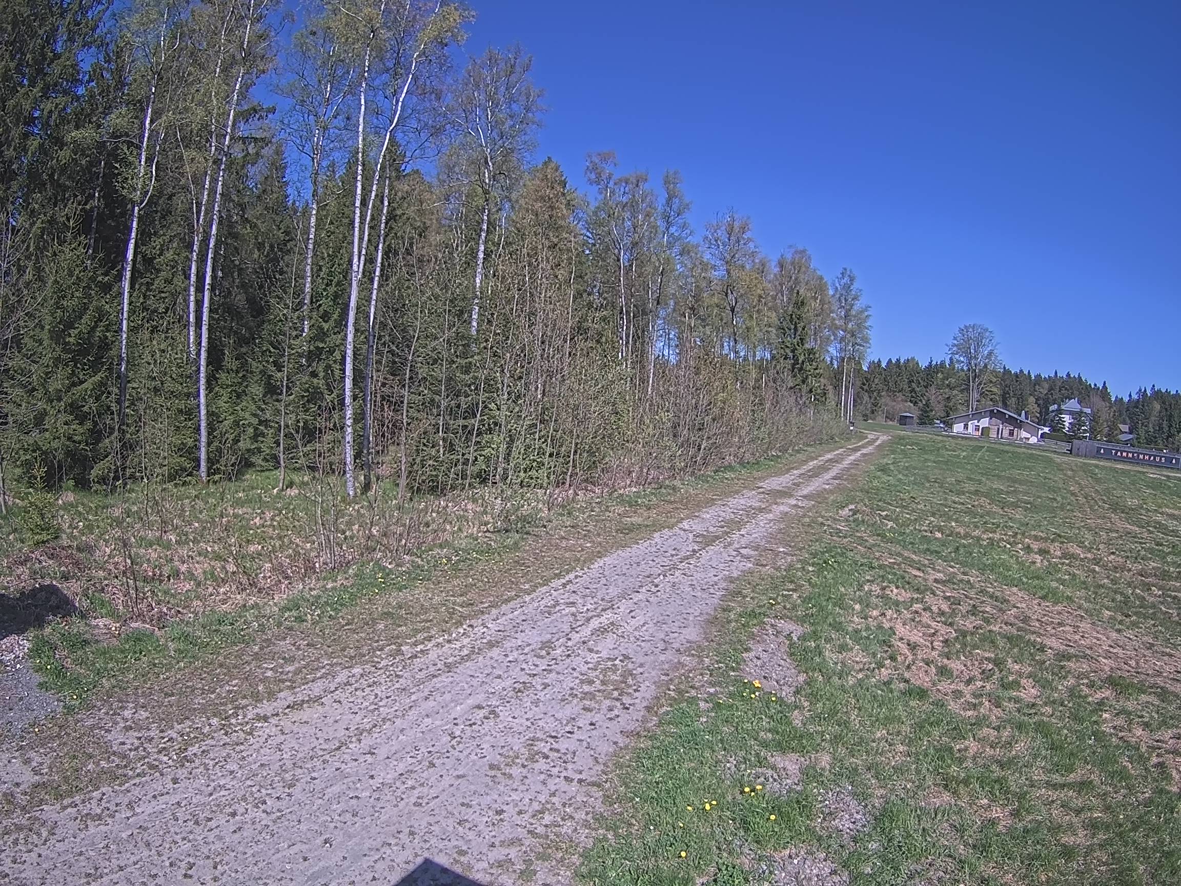 Webcam Schöneck Bogen