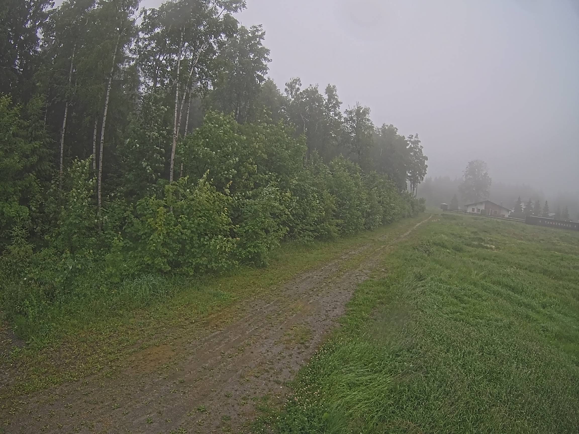 Webcam Schöneck Bogen