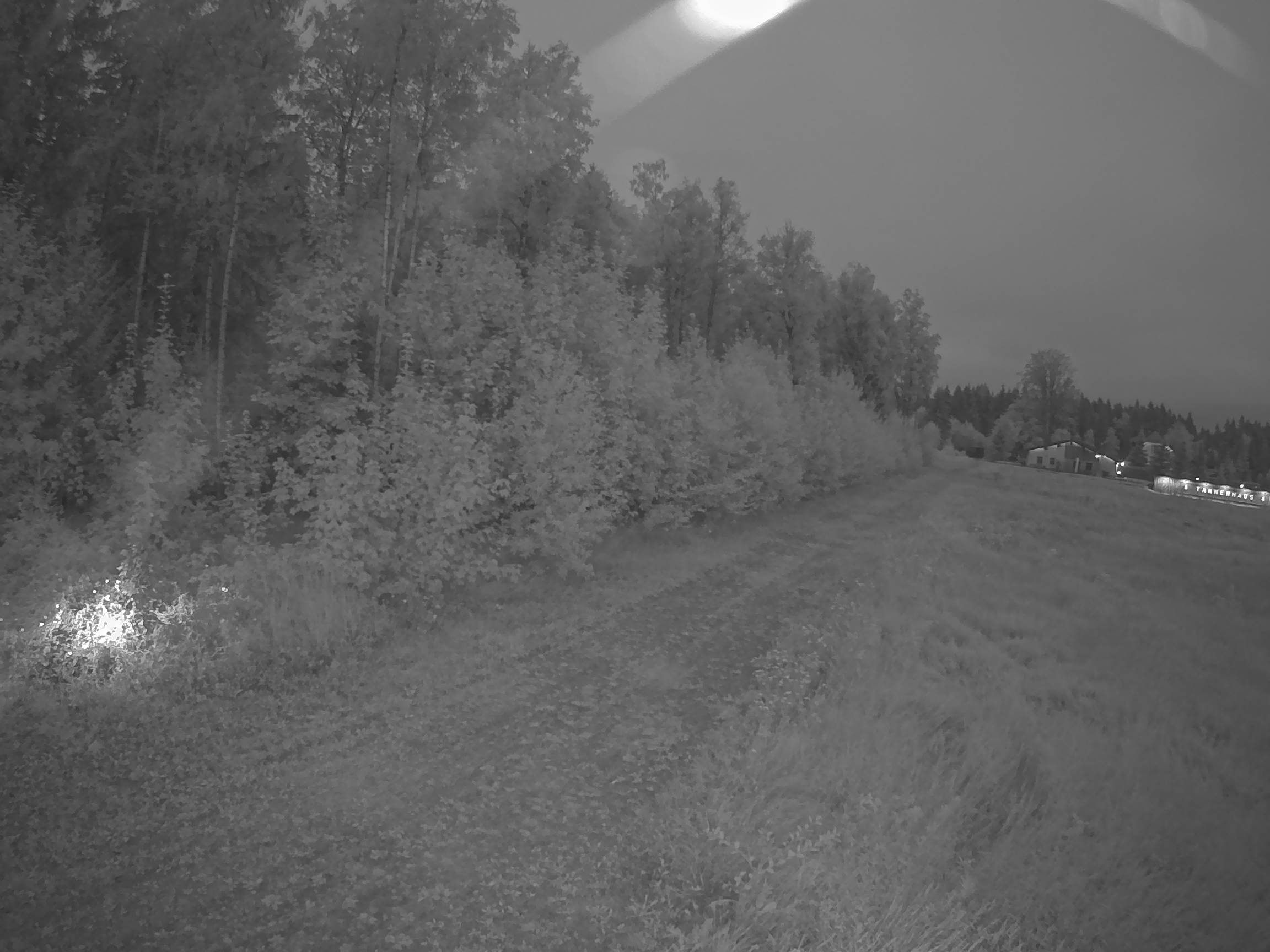 Webcam Schöneck Bogen