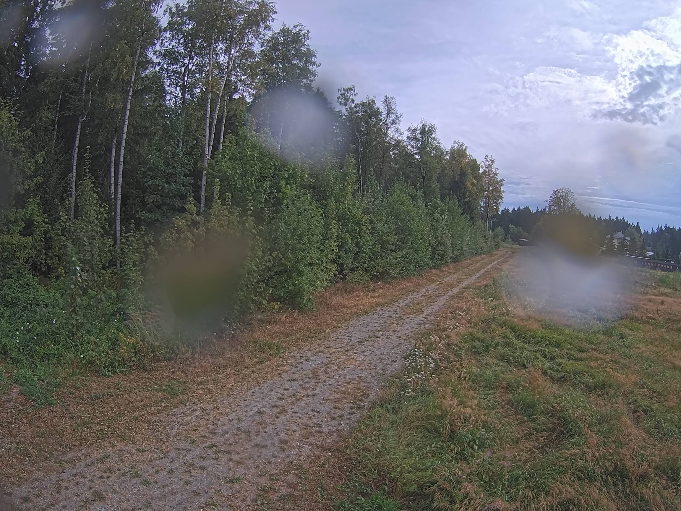 Webcam Schöneck Bogen