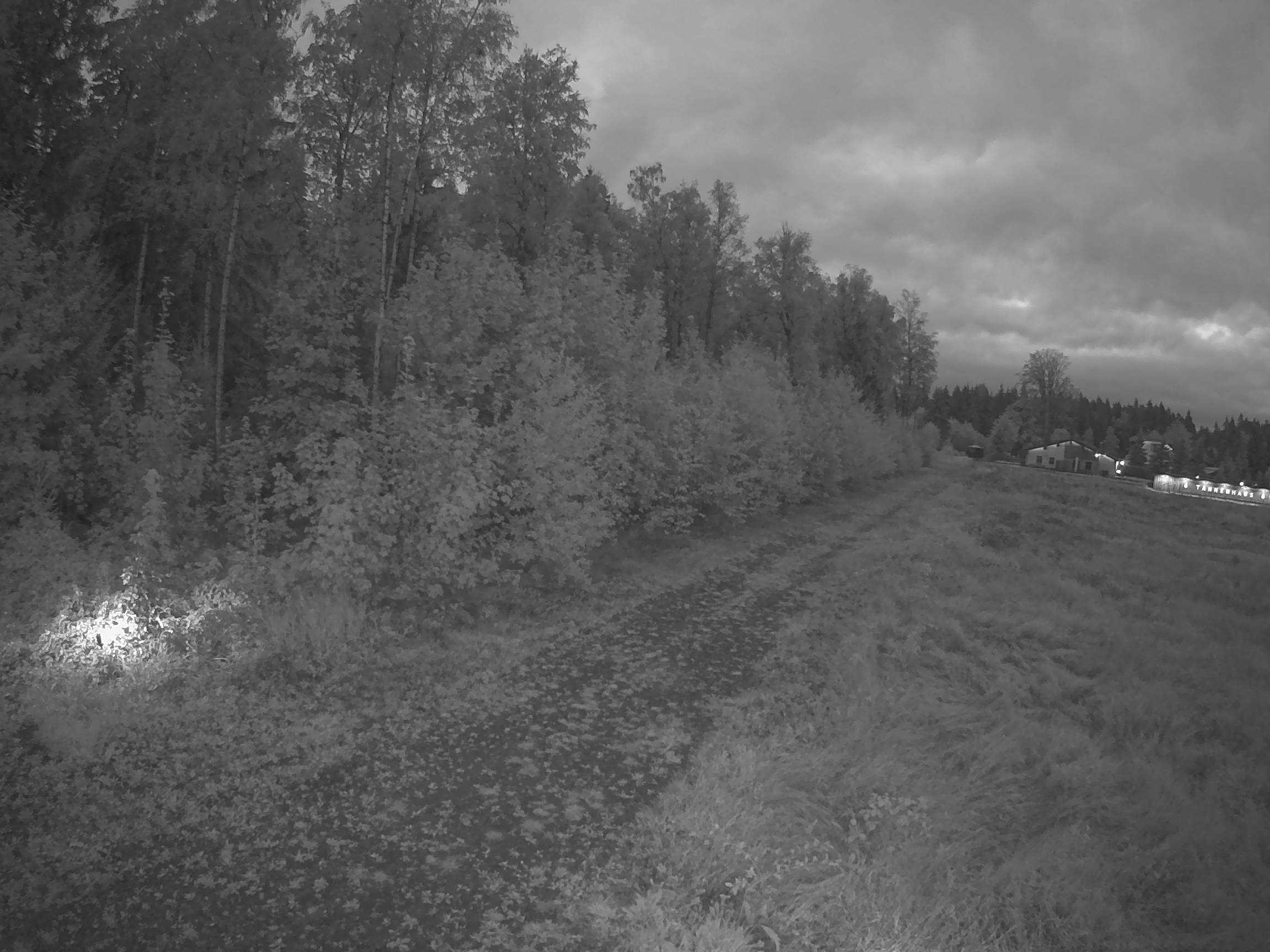 Webcam Schöneck Bogen