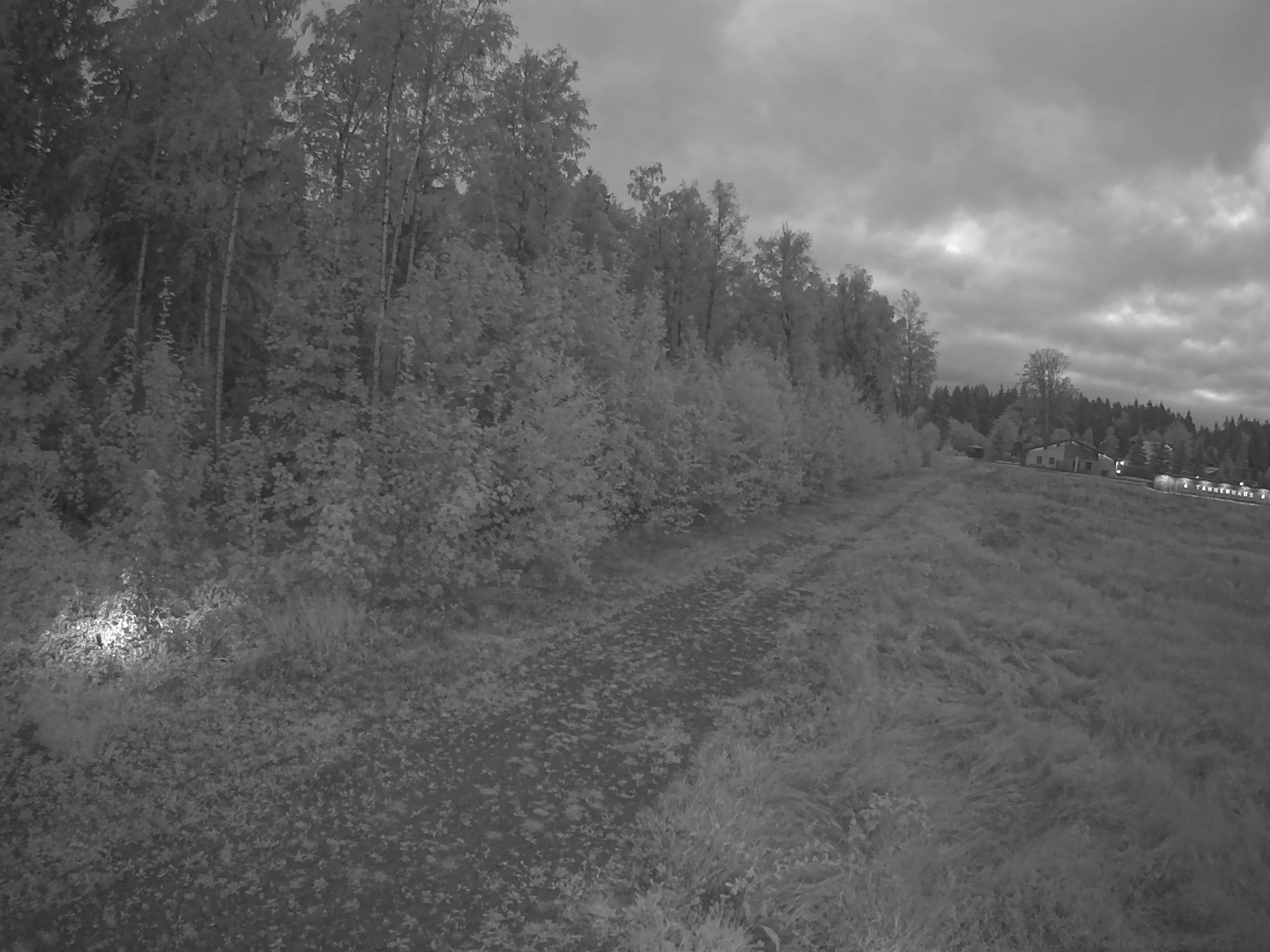 Webcam Schöneck Bogen