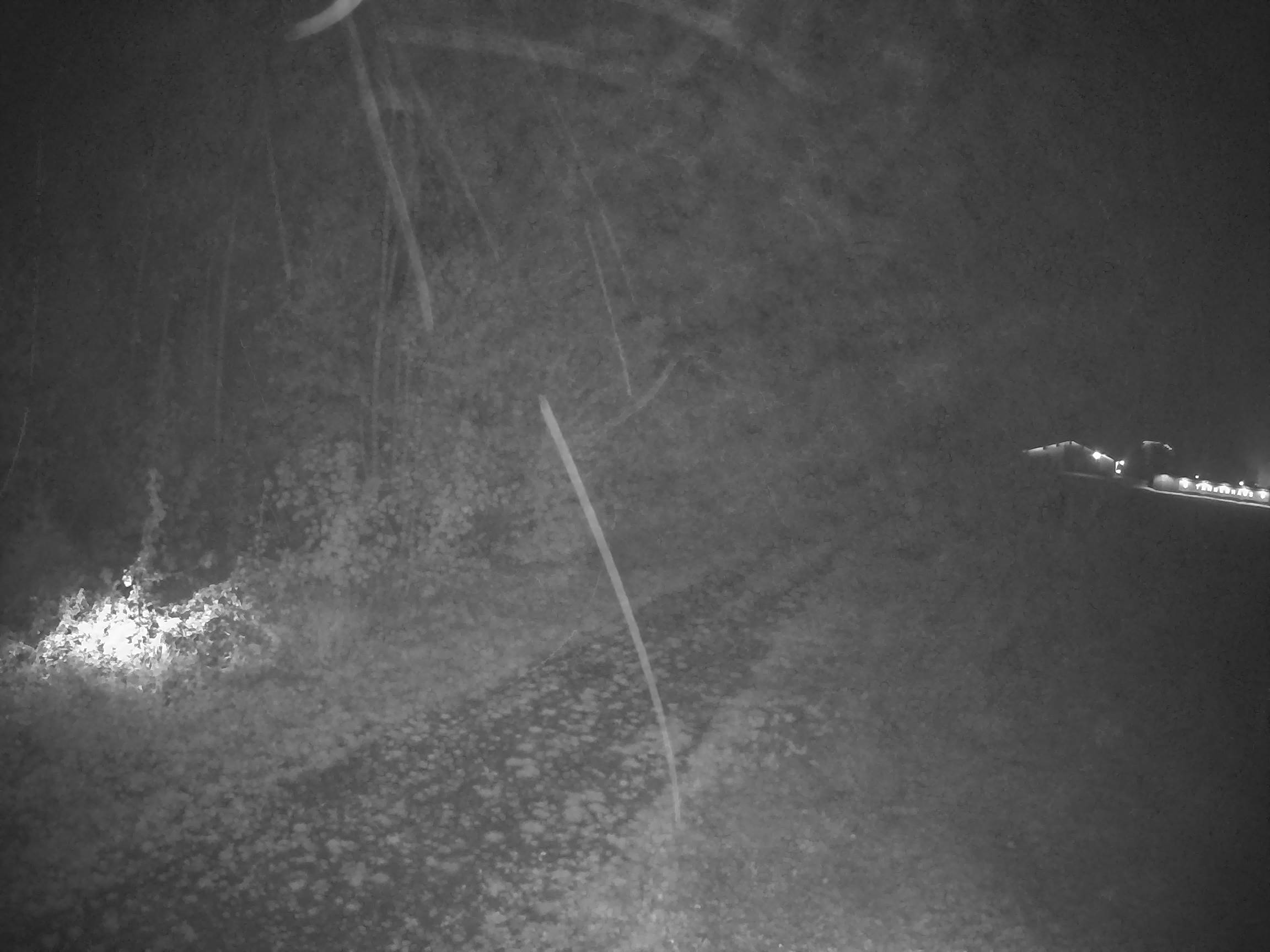 Webcam Schöneck Bogen