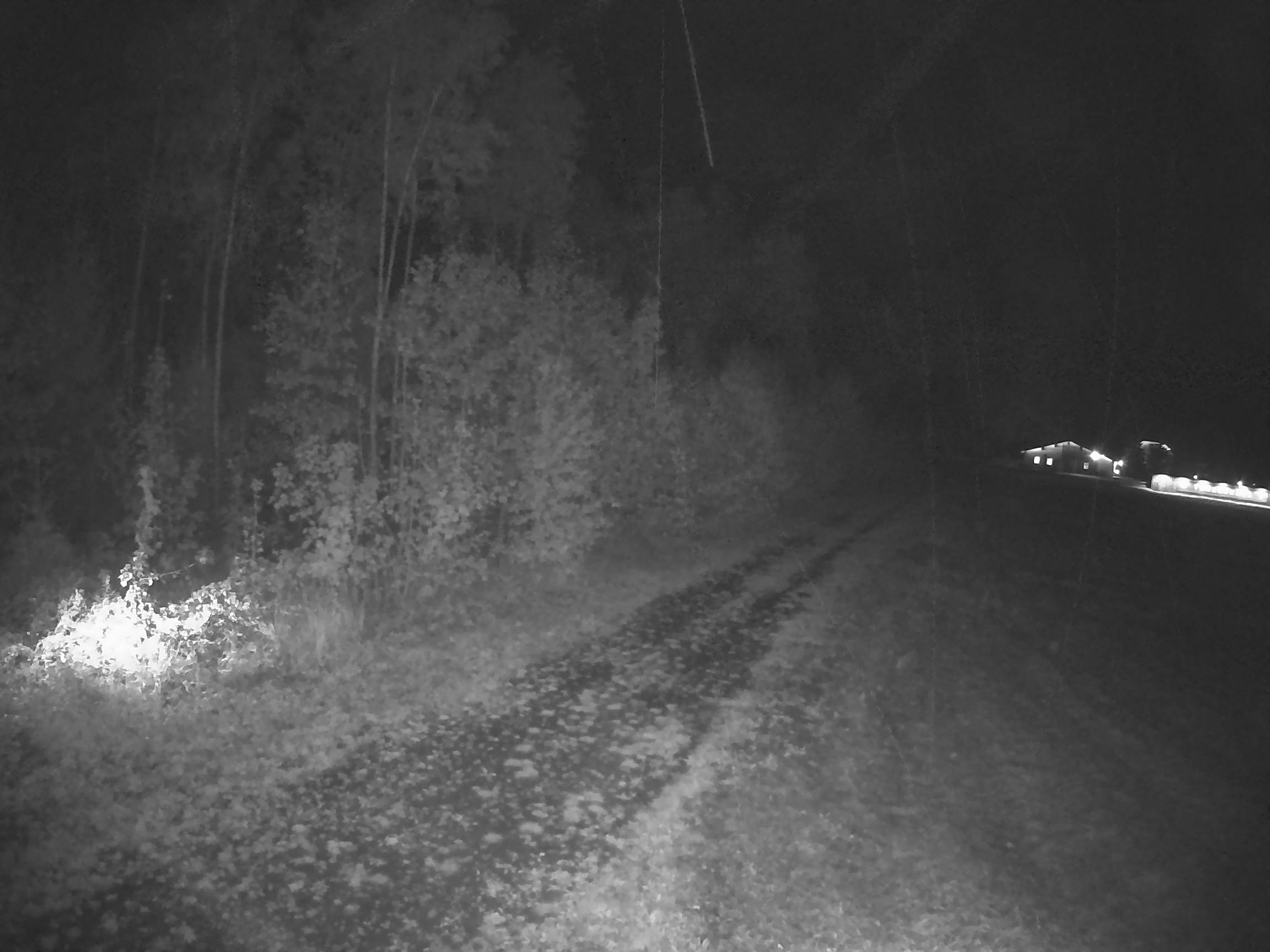 Webcam Schöneck Bogen