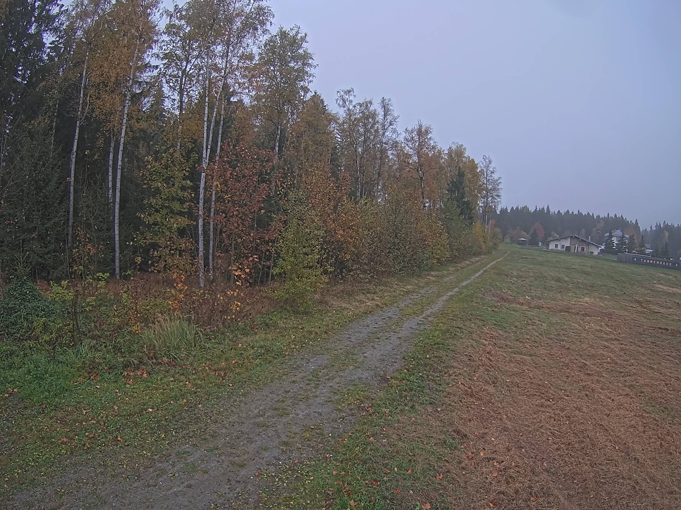 Webcam Schöneck Bogen