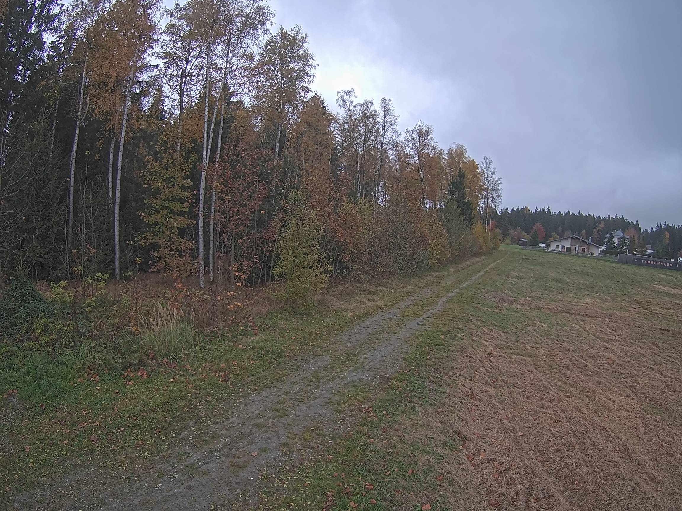 Webcam Schöneck Bogen
