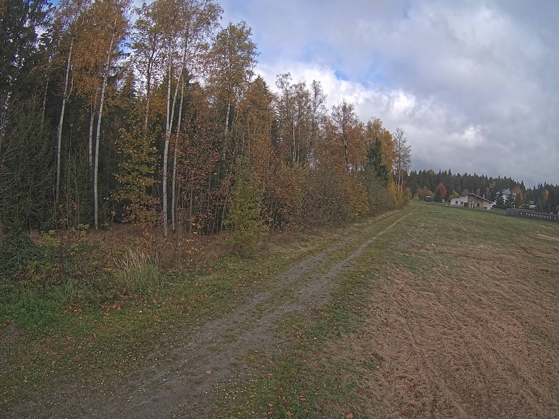 Webcam Schöneck Bogen