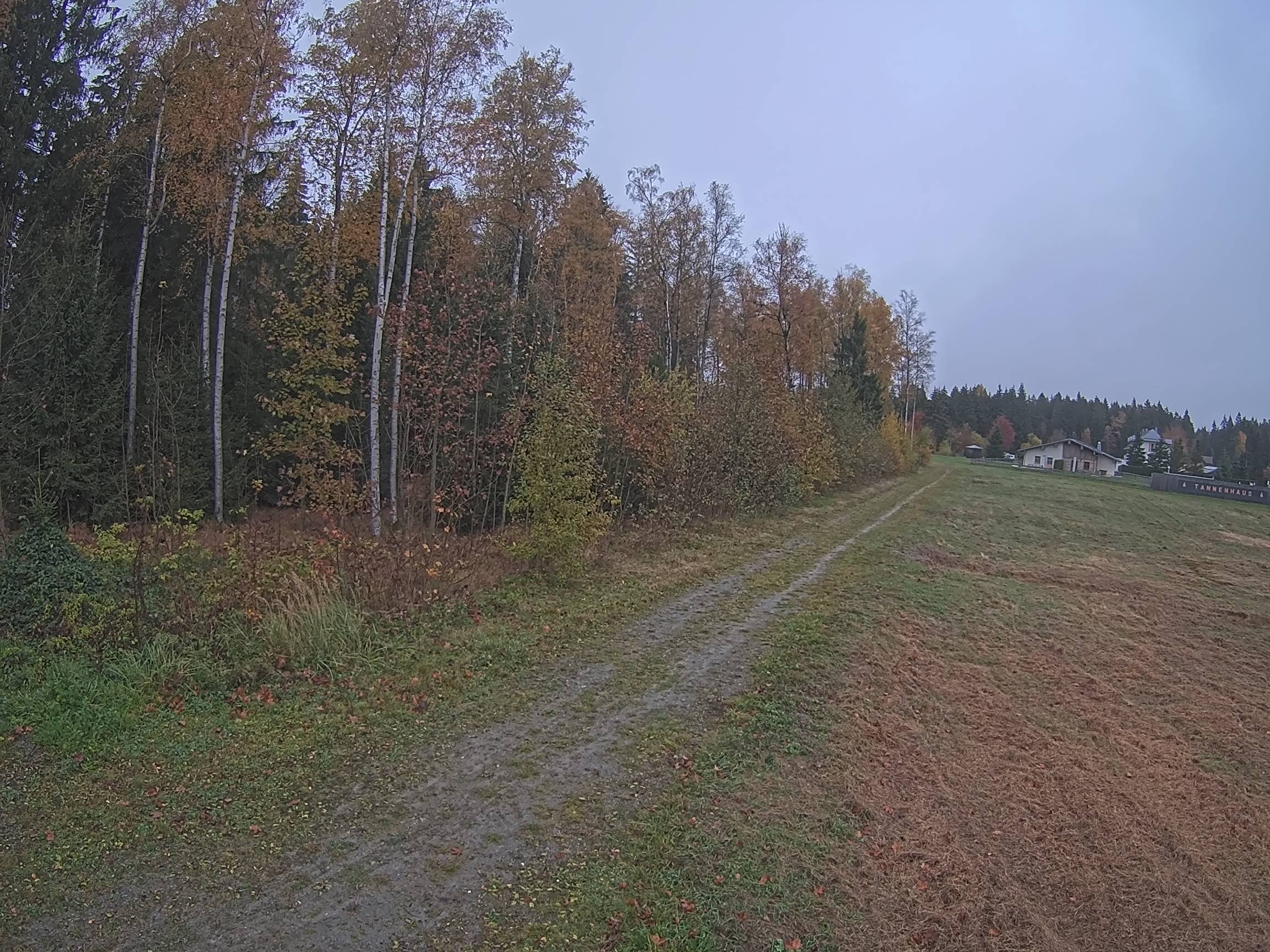 Webcam Schöneck Bogen